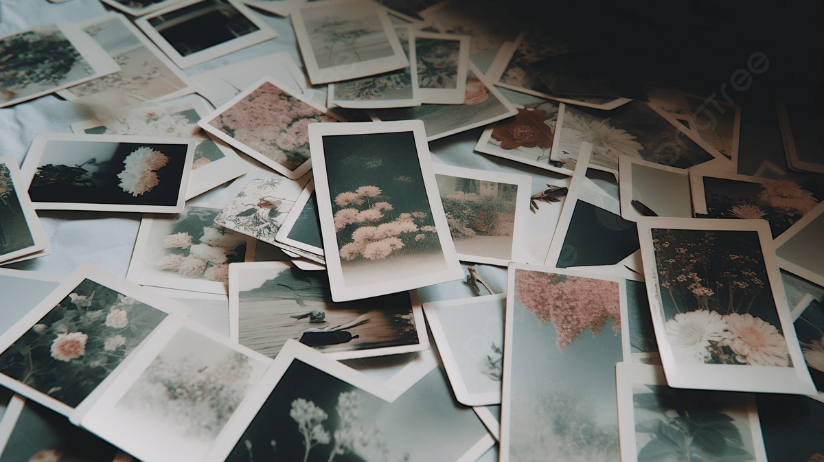 Aesthetic Polaroid Background Image, HD Picture and Wallpaper For Free Download