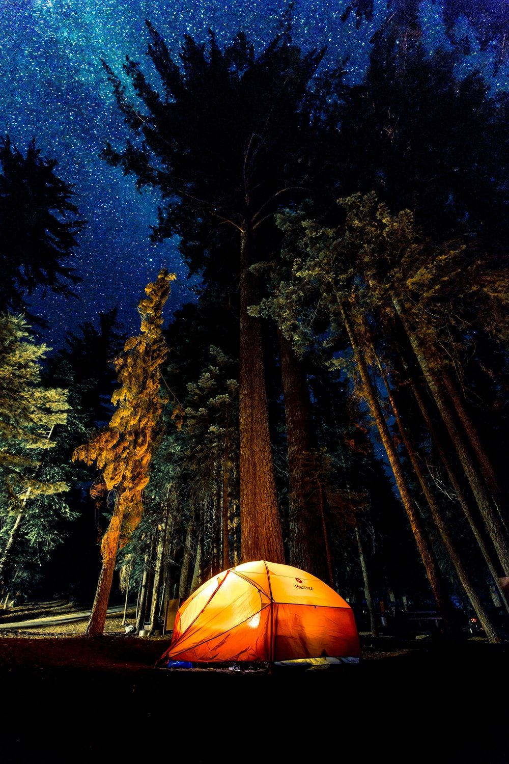 A camping tent in the forest under a starry sky - Camping