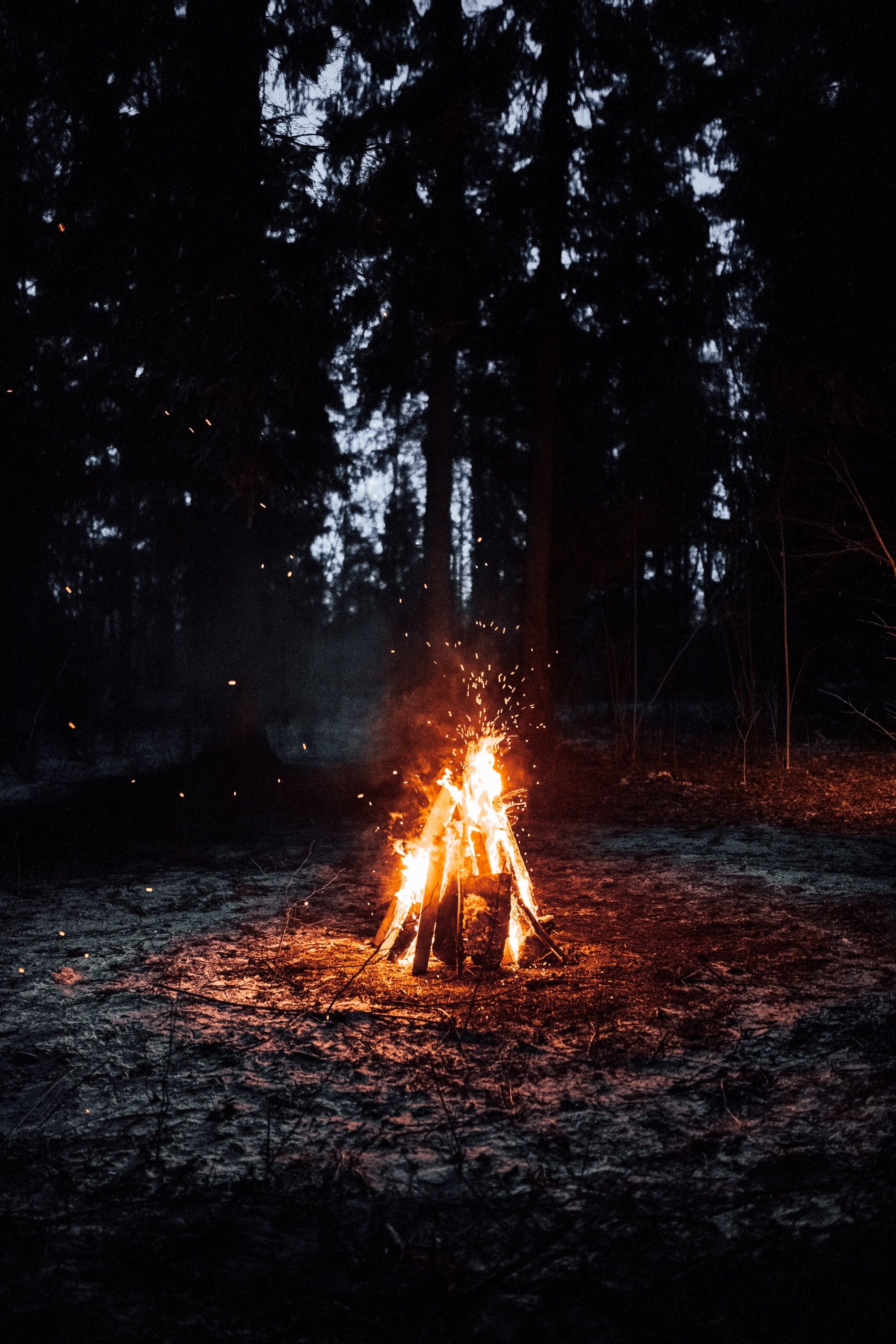 A fire is burning in the middle of some trees - Camping