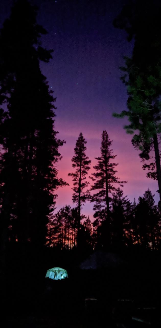 A tent under a purple and blue night sky - Camping