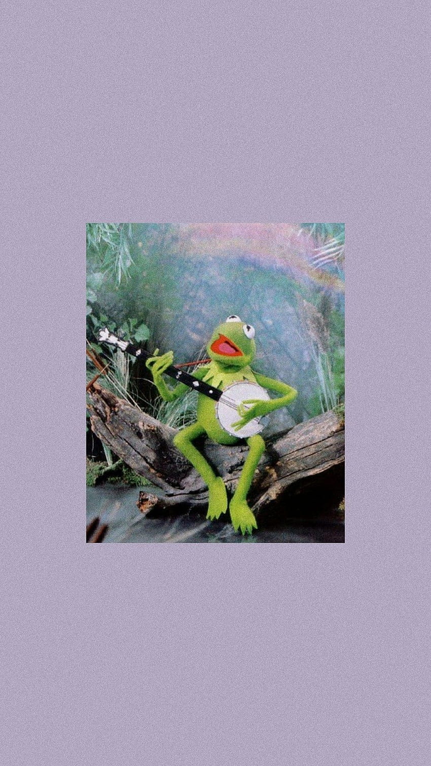Kermit the Frog, frog aesthetic HD phone wallpaper