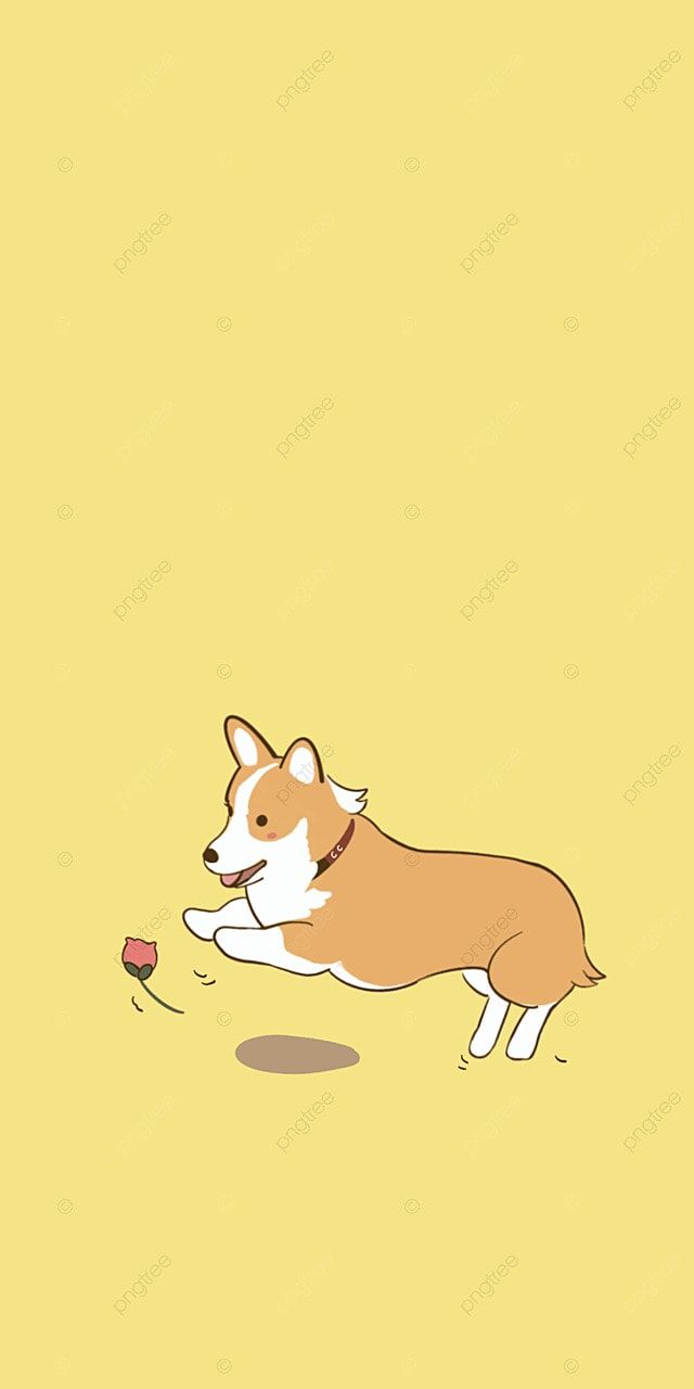 Cute Corgi Running Mobile Wallpaper Background Wallpaper Image For Free Download