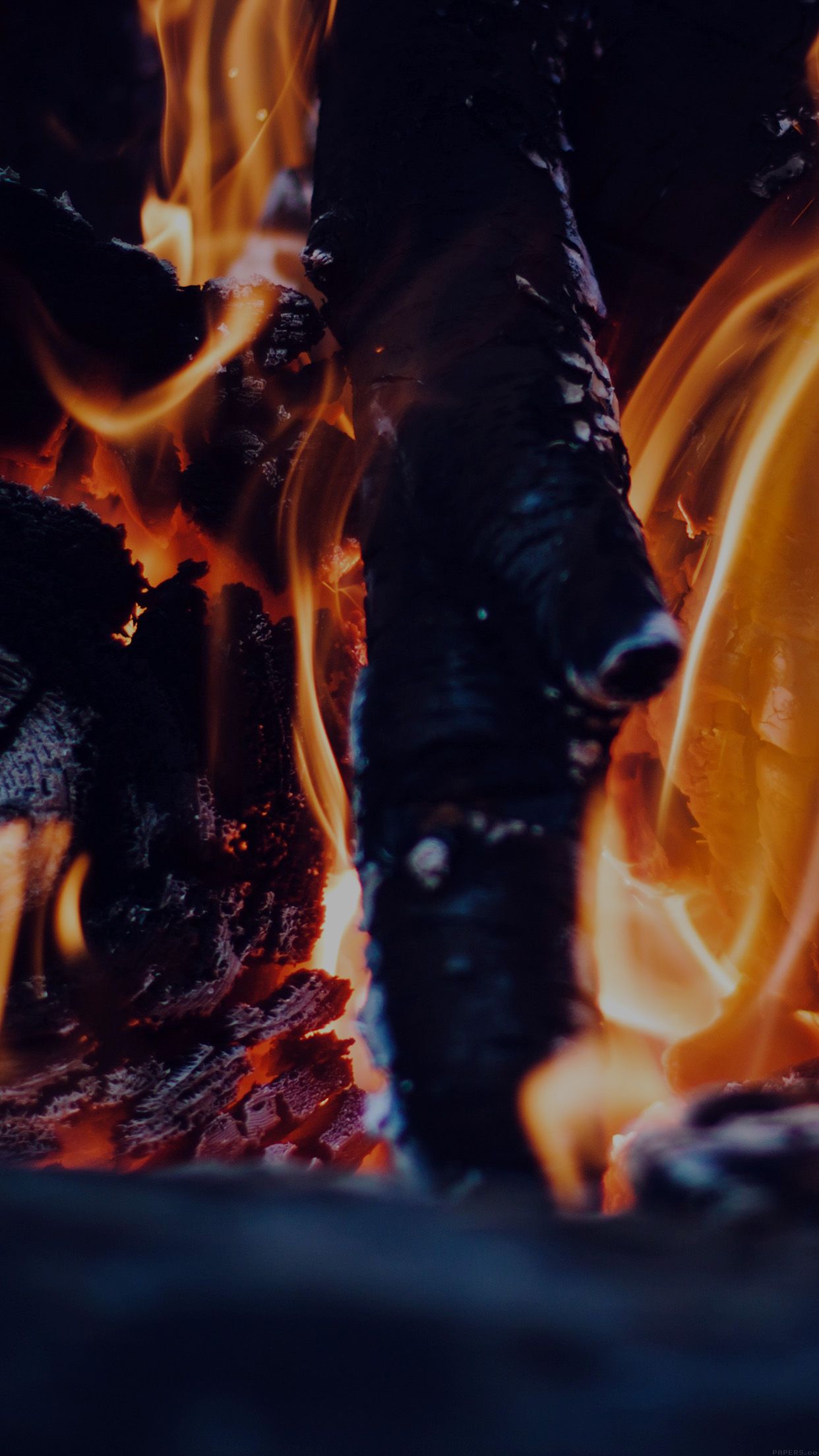 A close up of a fire burning with wood - Camping