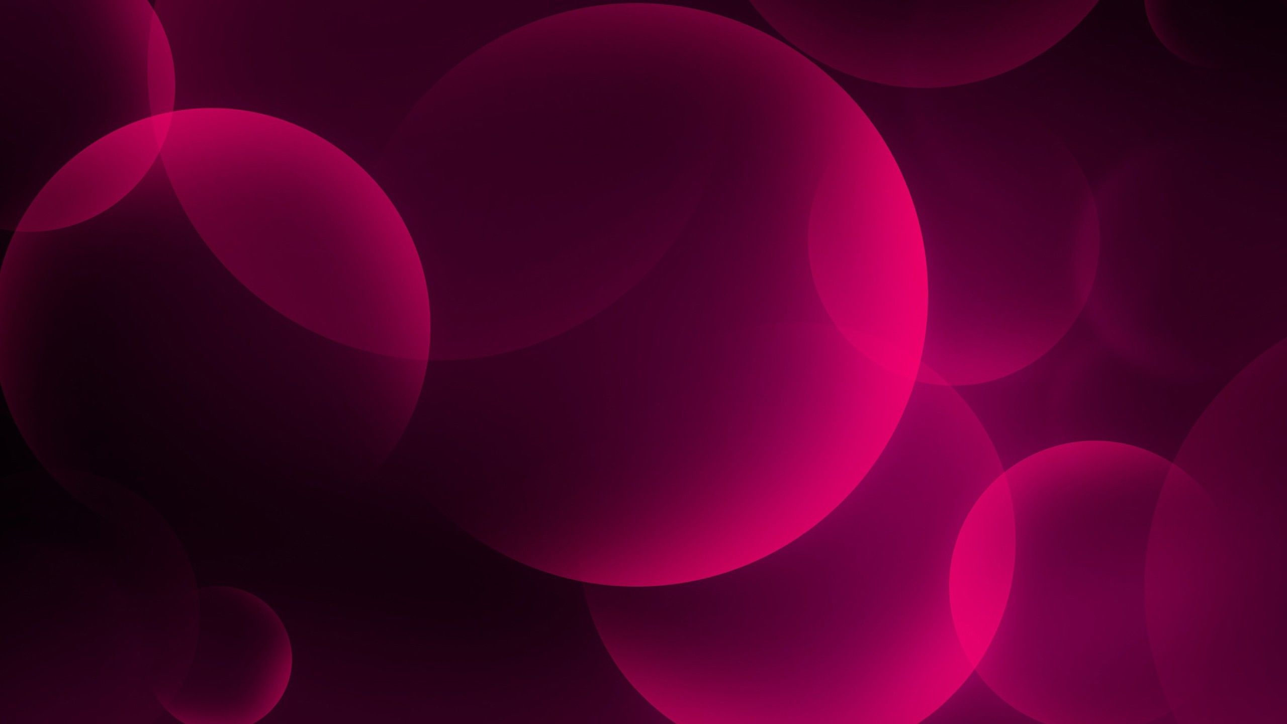 A pink and purple abstract background with circles - Bubbles