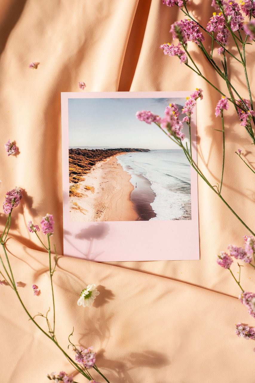A polaroid picture of a beach scene with pink flowers - Polaroid