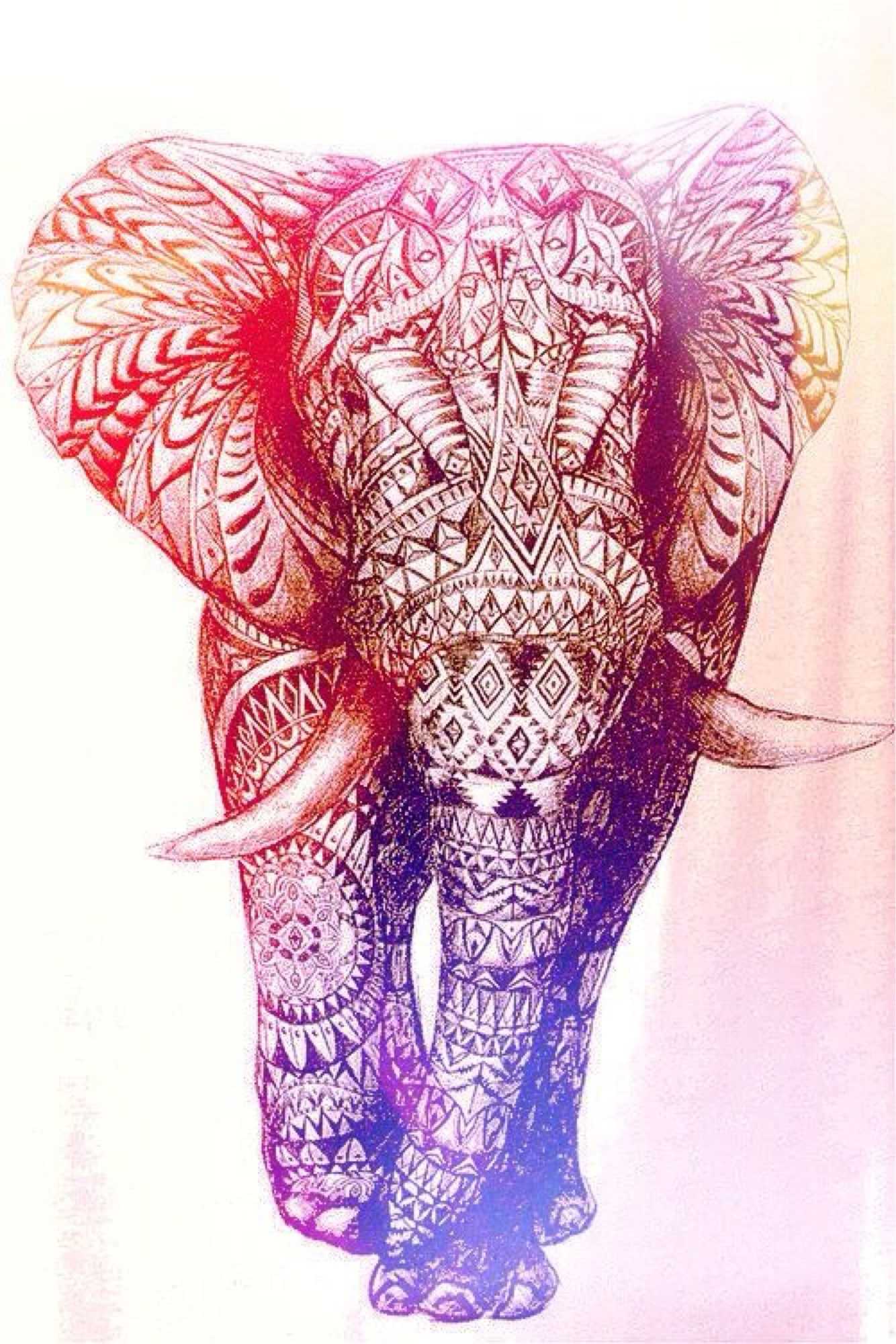 Cute Elephant Wallpaper Free HD Wallpaper