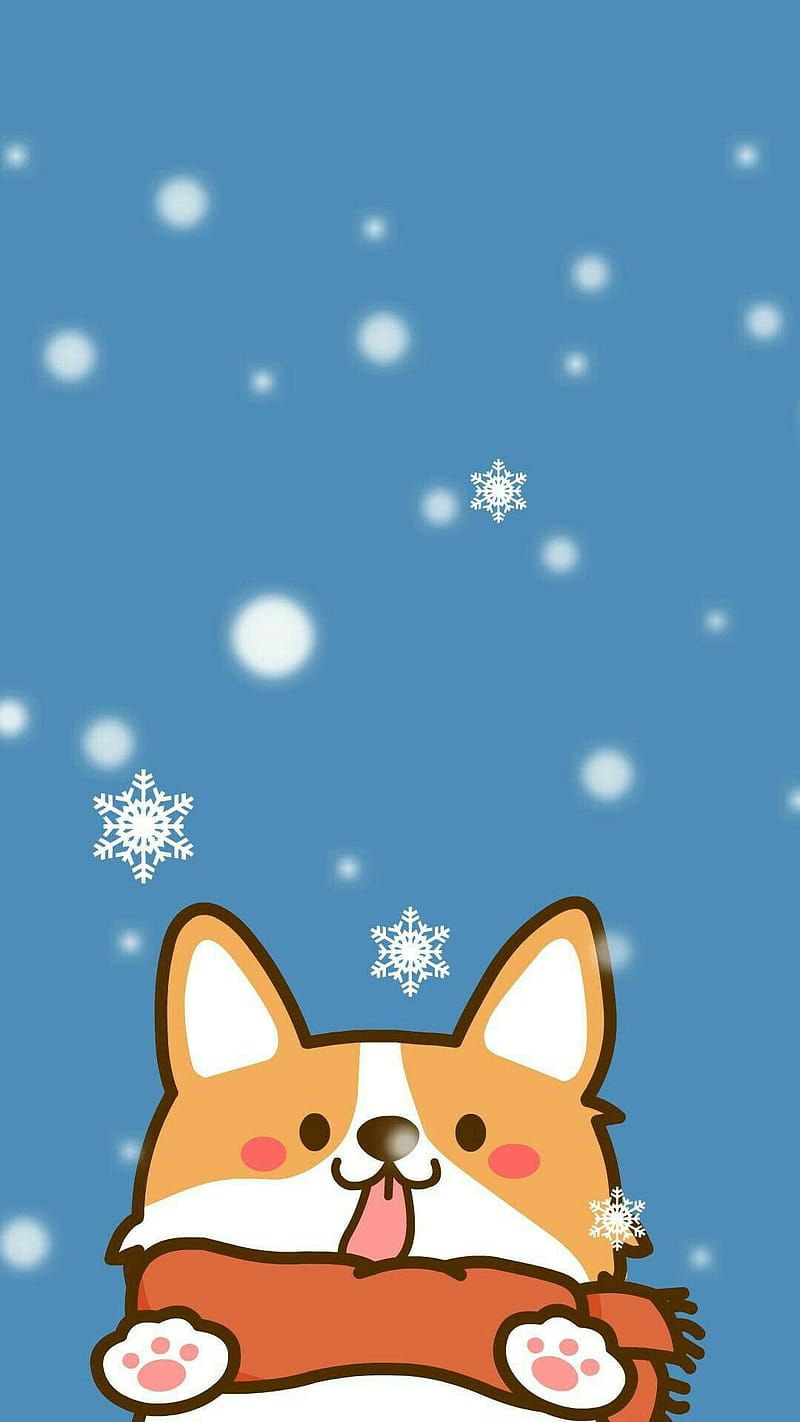 Cute Corgi, Cute Chibi Dog, HD phone wallpaper