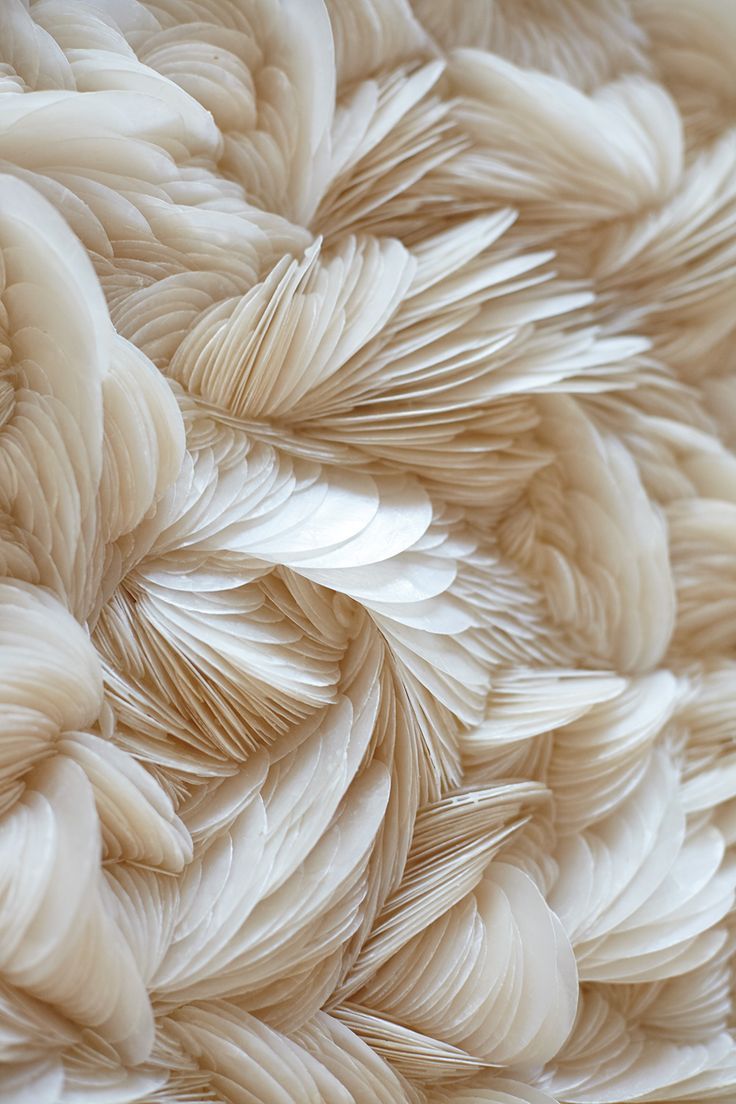 Feathers. January wallpaper, Aesthetic wallpaper, Aesthetic background