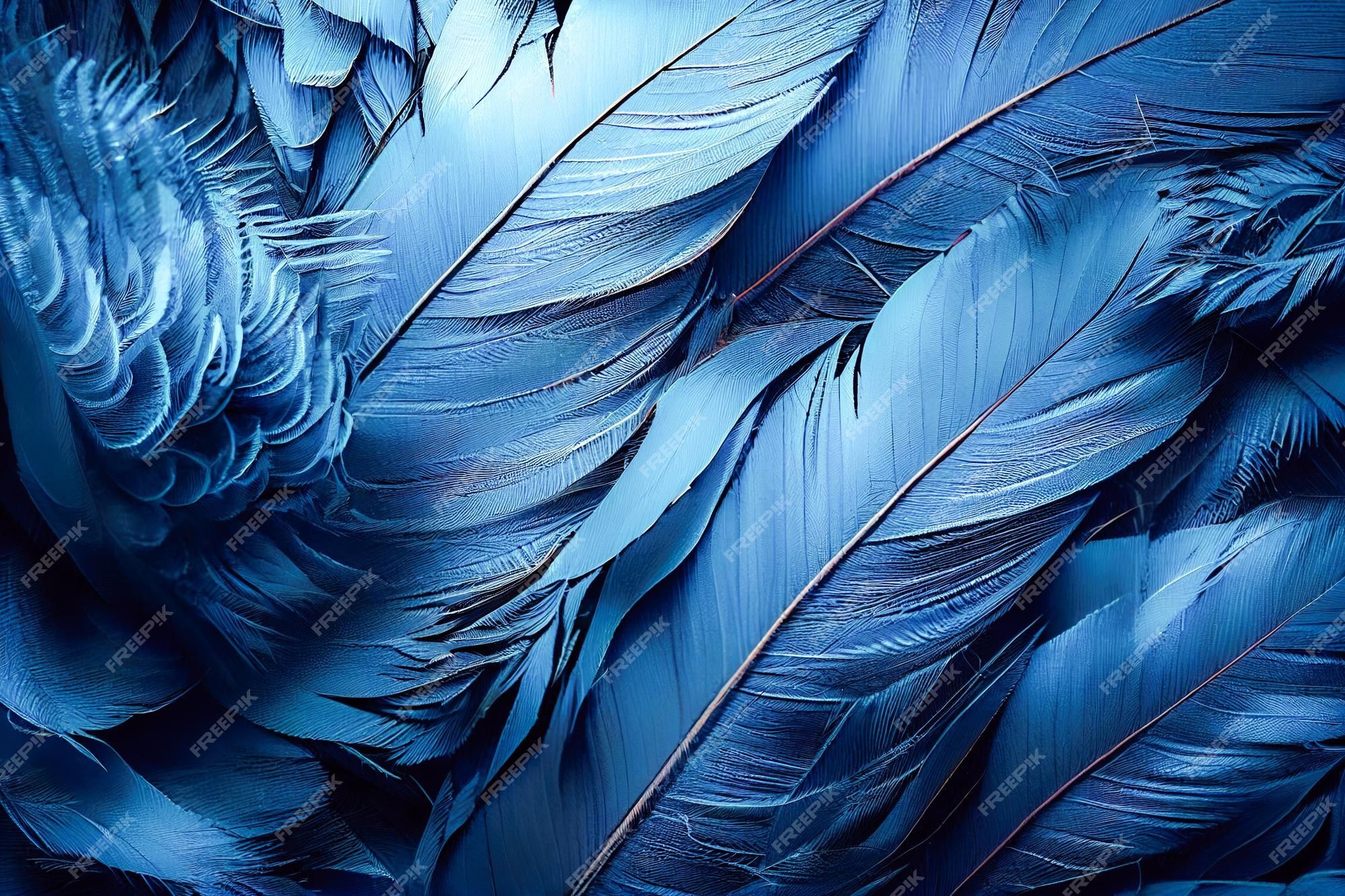 Premium Photo. Blue feathers wallpaper for iphone and android. blue wallpaper, blue wallpaper, blue wallpaper, blue wallpaper, blue wallpaper, blue wallpaper, blue wallpaper