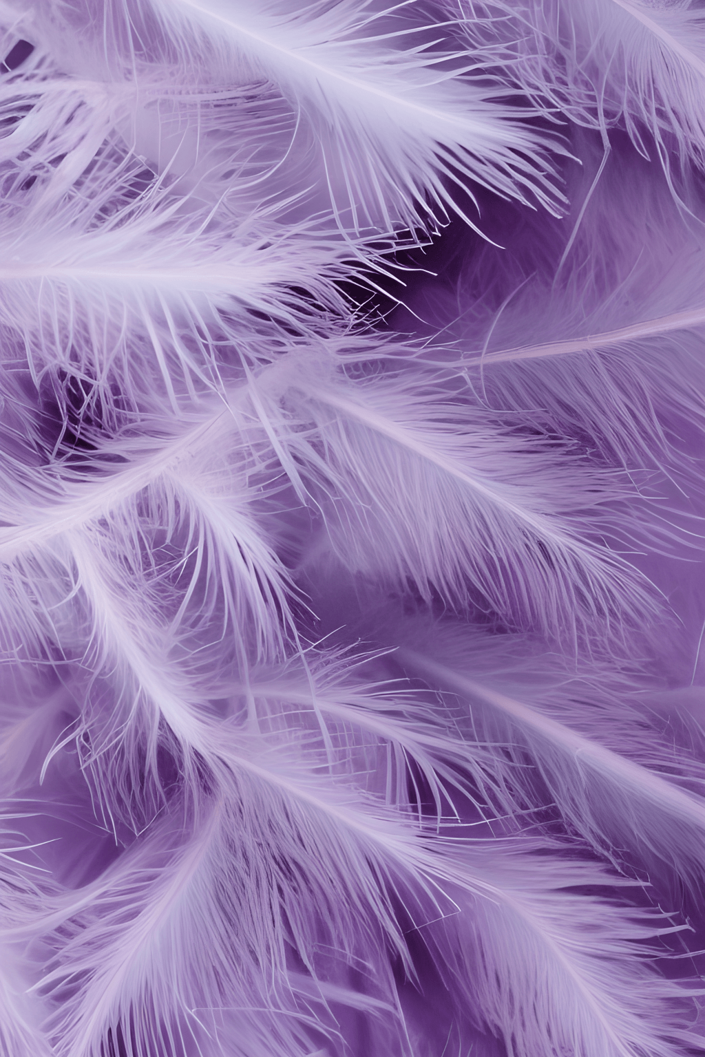 Pale Lilac Feathers Background · Creative Fabrica