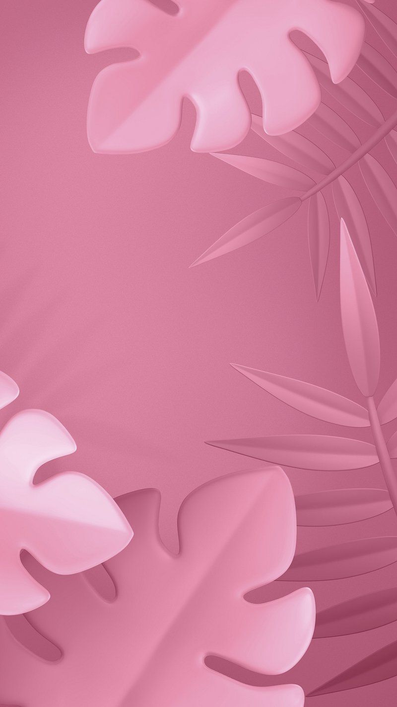 Aesthetic iPhone wallpaper, pink rose