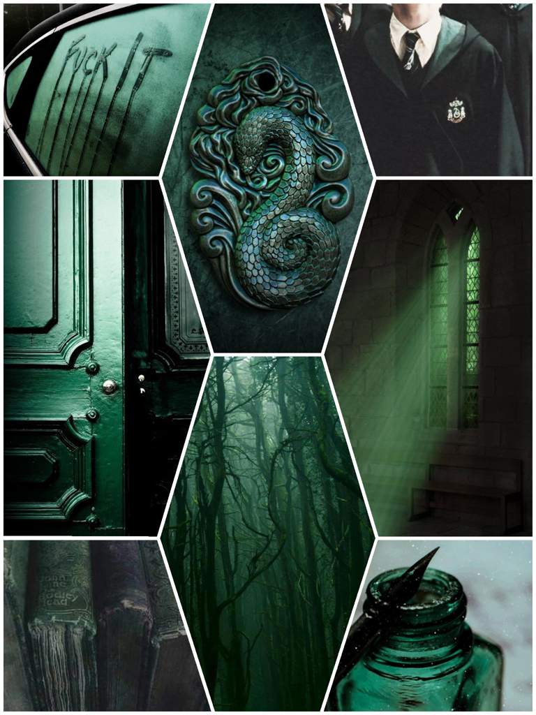 A collage of images representing the house of Slytherin including a snake, a green door, a forest, a bottle, a stained glass window, and a portrait. - Slytherin