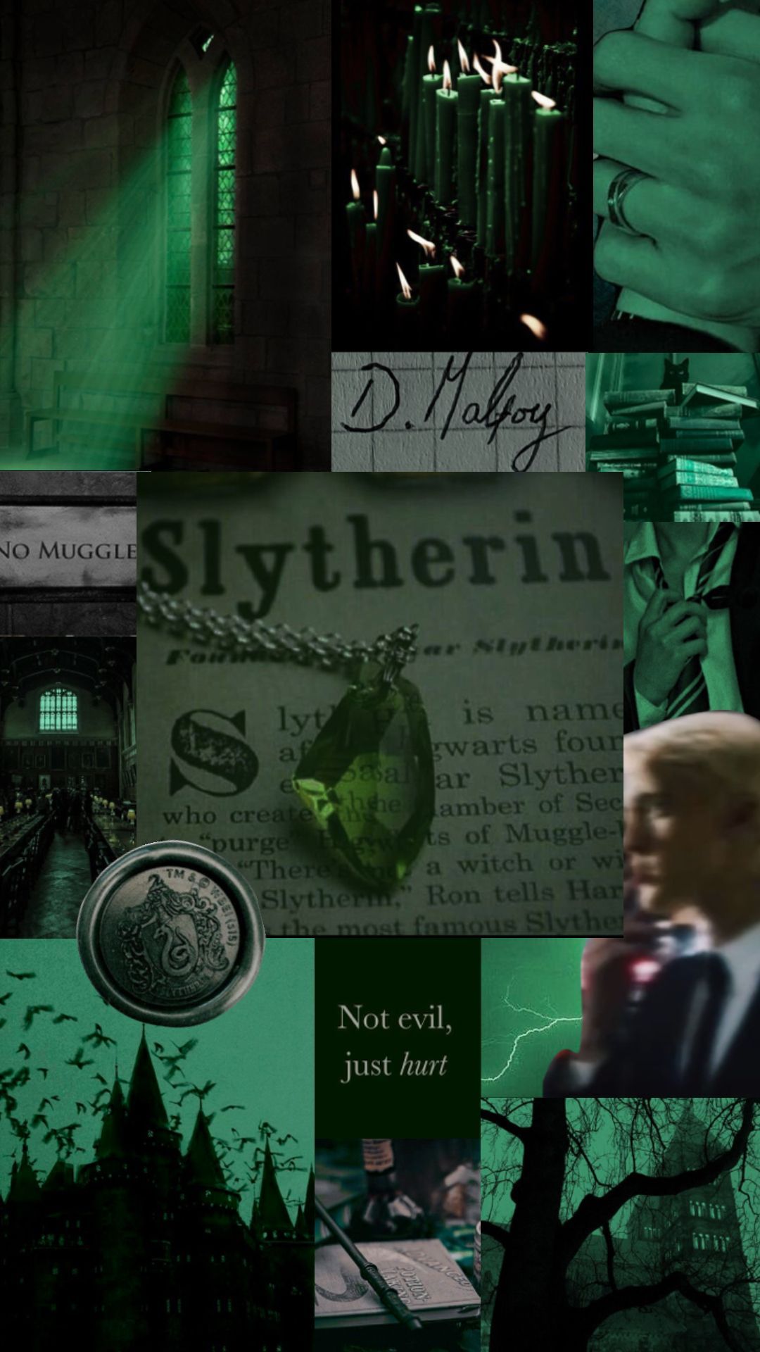 Harry Potter Aesthetic Wallpapers Top Free Harry Potter Aesthetic Backgrounds Wallpaperaccess - Slytherin