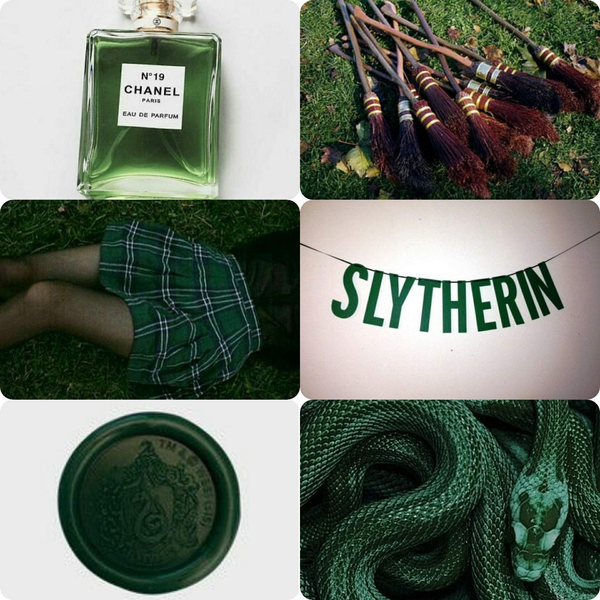 A collage of images representing the aesthetic of the Harry Potter house of Slytherin. - Slytherin