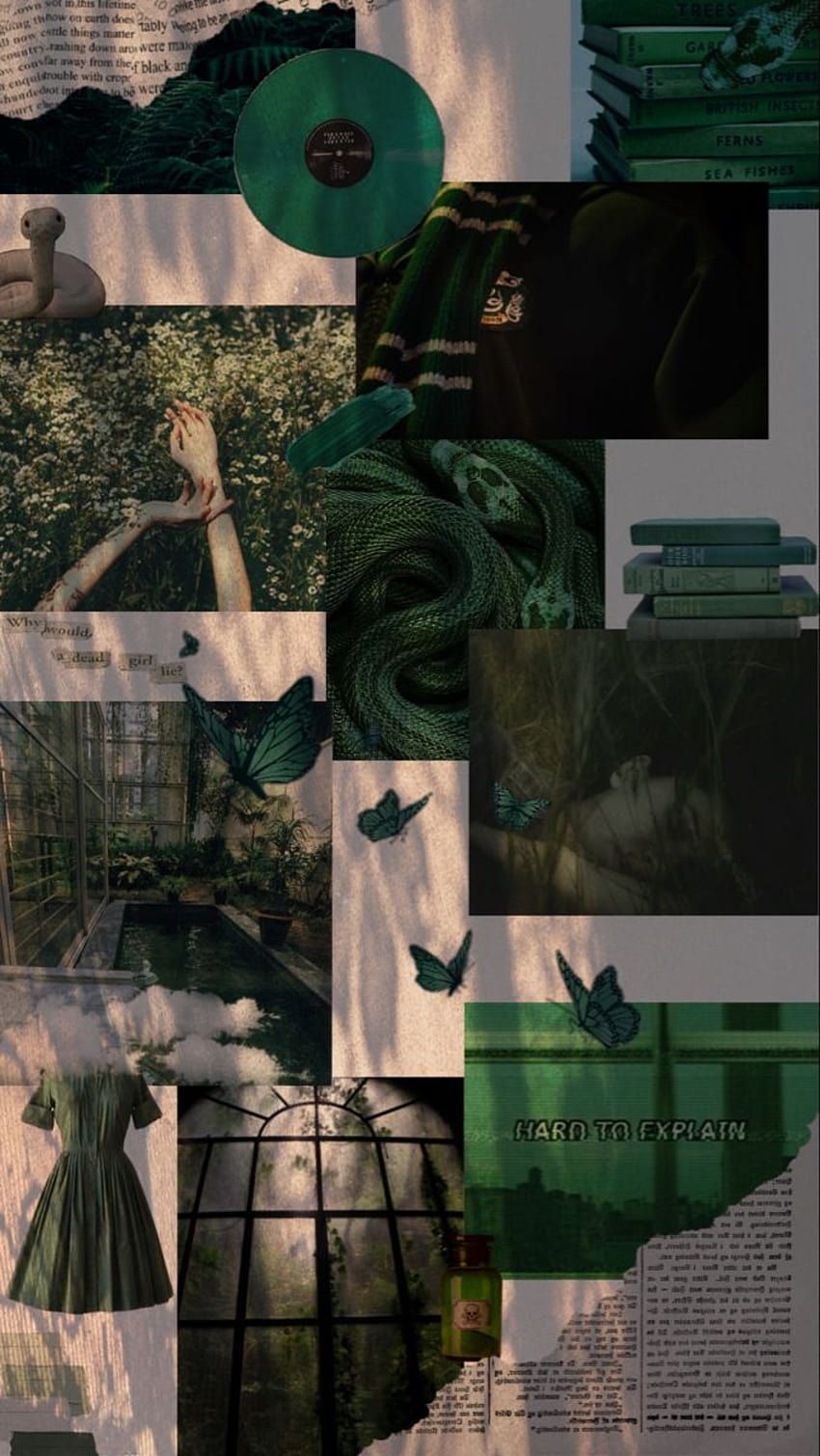Slytherin Aesthetic, slytherclaw HD phone wallpaper