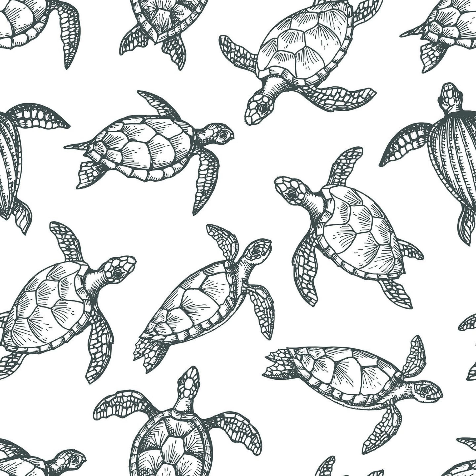 Sea Turtles Wallpaper And Stick Or Non Pasted