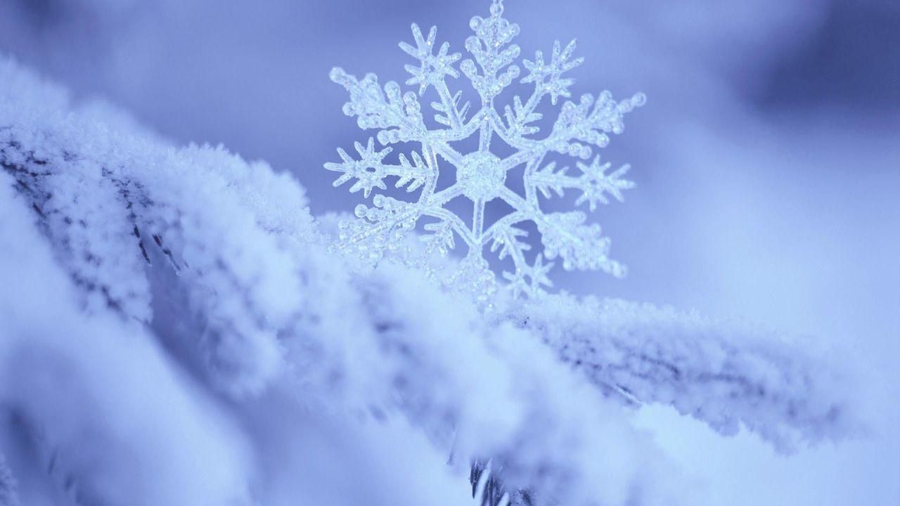Afbeeldingsresultaat voor real snowflake. Snowflake wallpaper, Snowflakes real, Christmas wallpaper