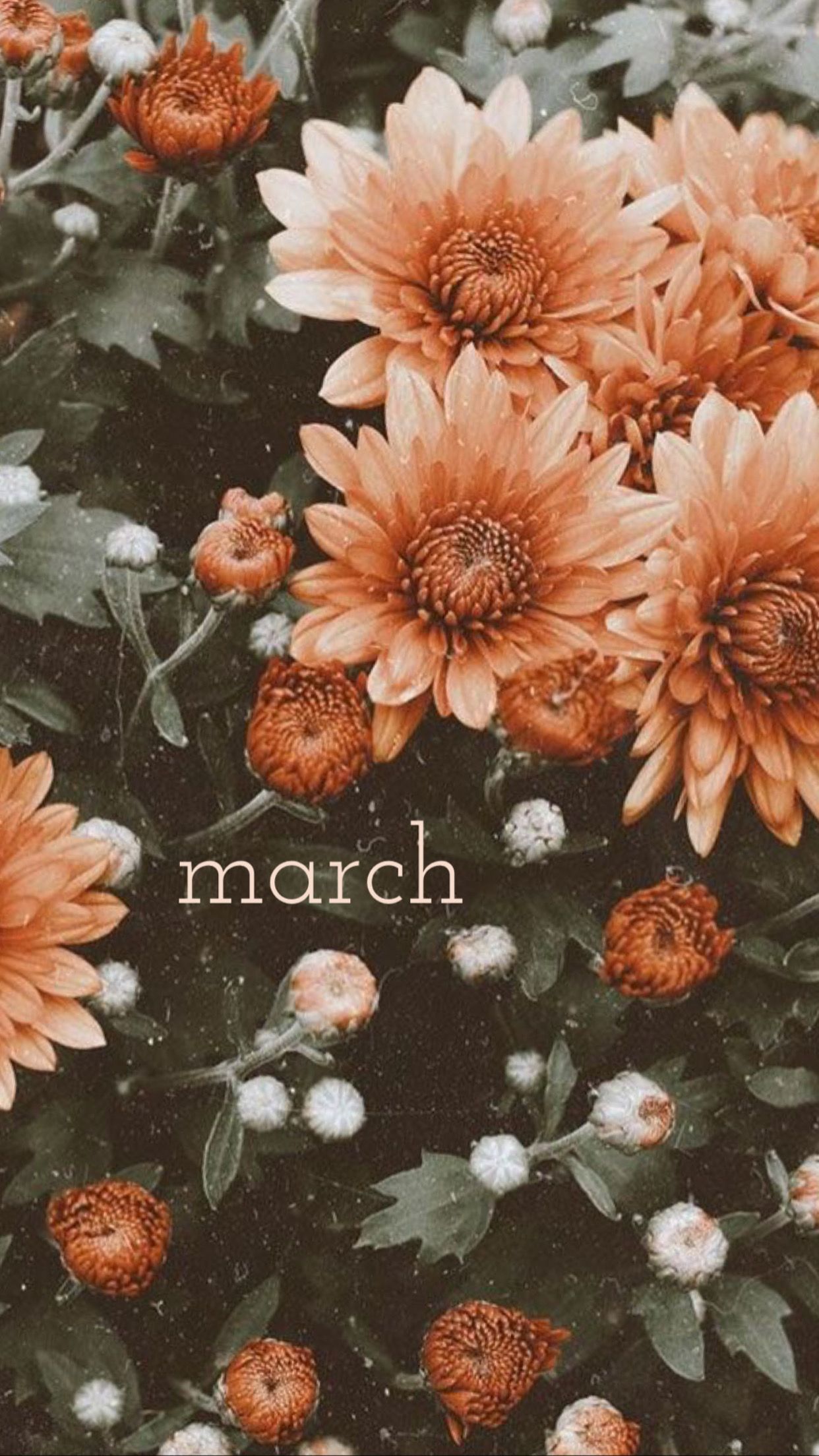 Aesthetic wallpaper for March with flowers in the background - March