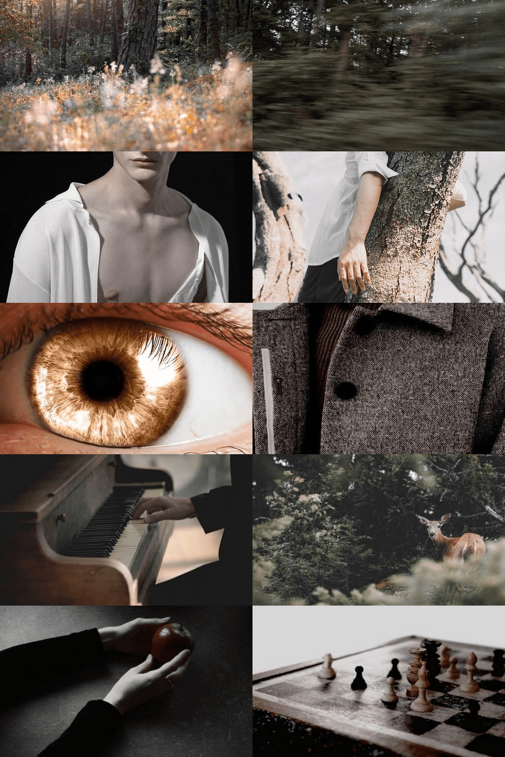 Aesthetic for the book series 'Shadowhunter Academy' by Cassandra Clare. - Twilight