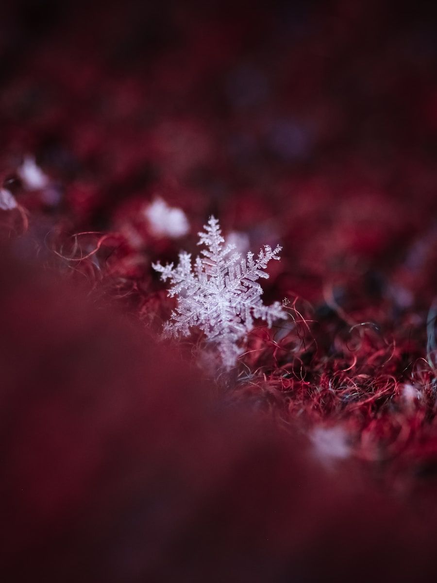 How To Photograph Snowflakes