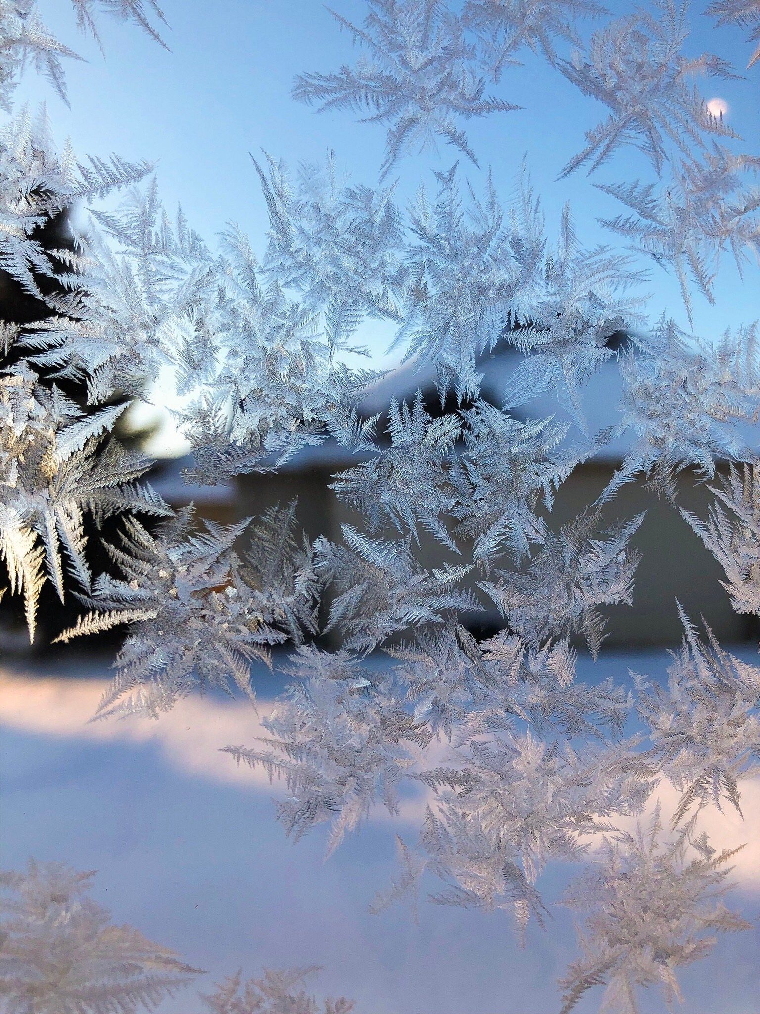 Frozen Snowflakes Winter Wonderland Aesthetic Window Snowflake