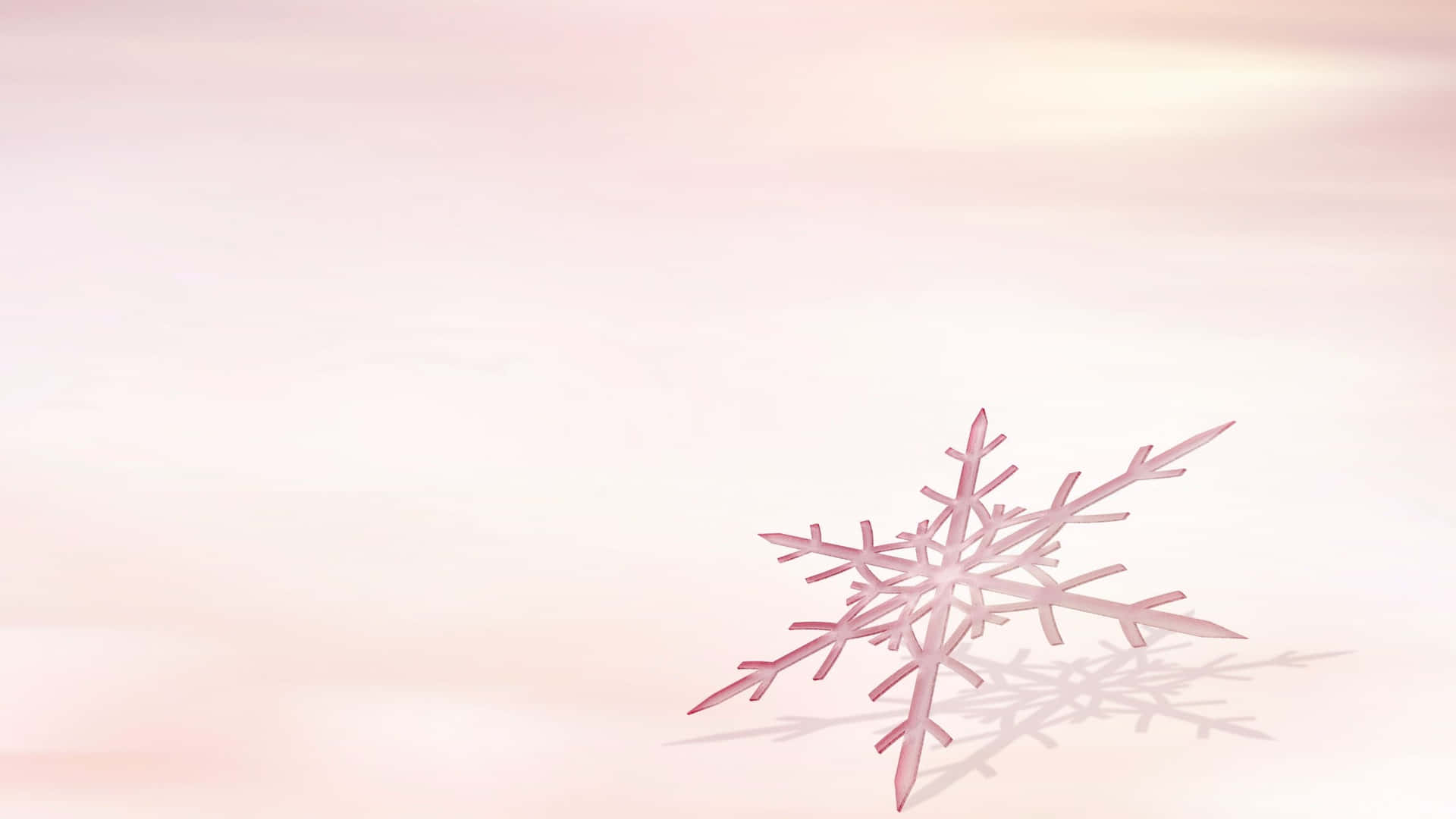 A pink snowflake on a pink background - Snowflake