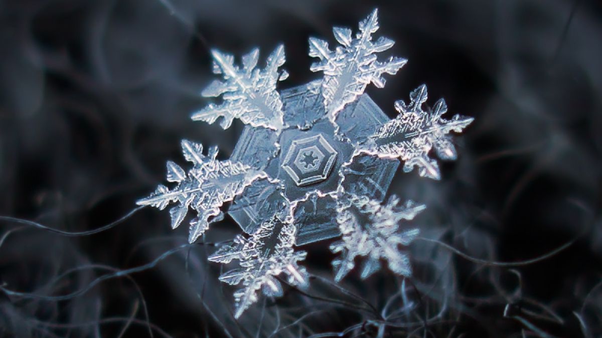 The most beautiful snowflake photo you'll ever see, captured with a cheap DIY camera