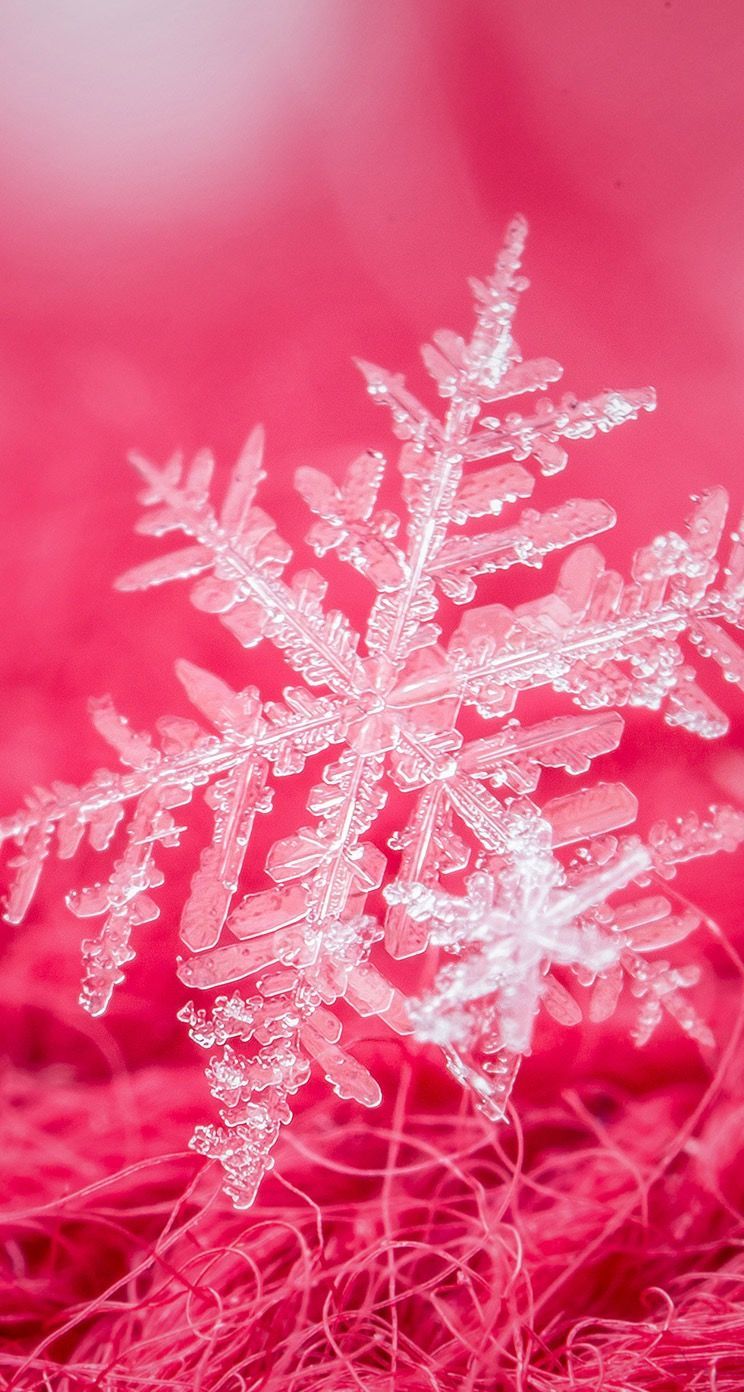 Pink snowflake. Christmas phone wallpaper, Wallpaper iphone christmas, Snowflake wallpaper