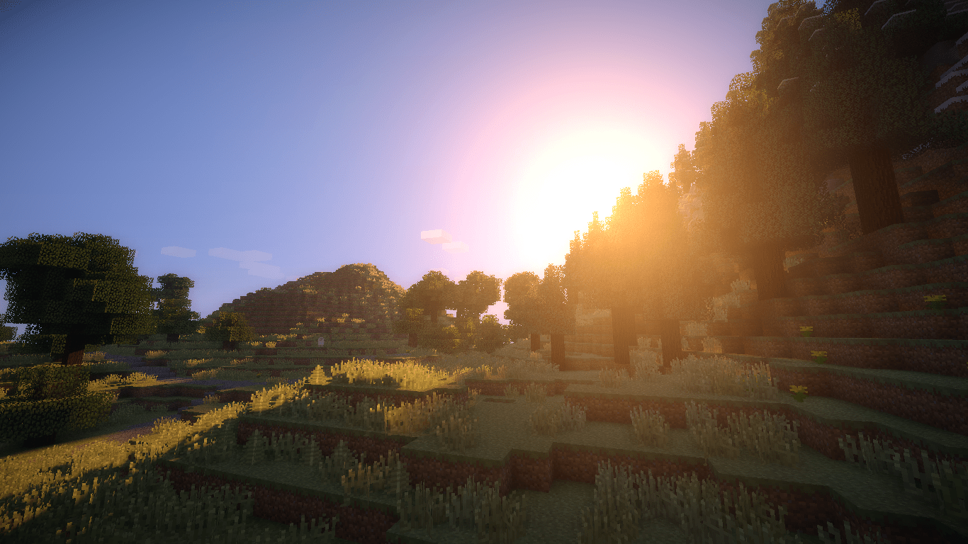 A Minecraft screenshot of a forest at sunset - Minecraft
