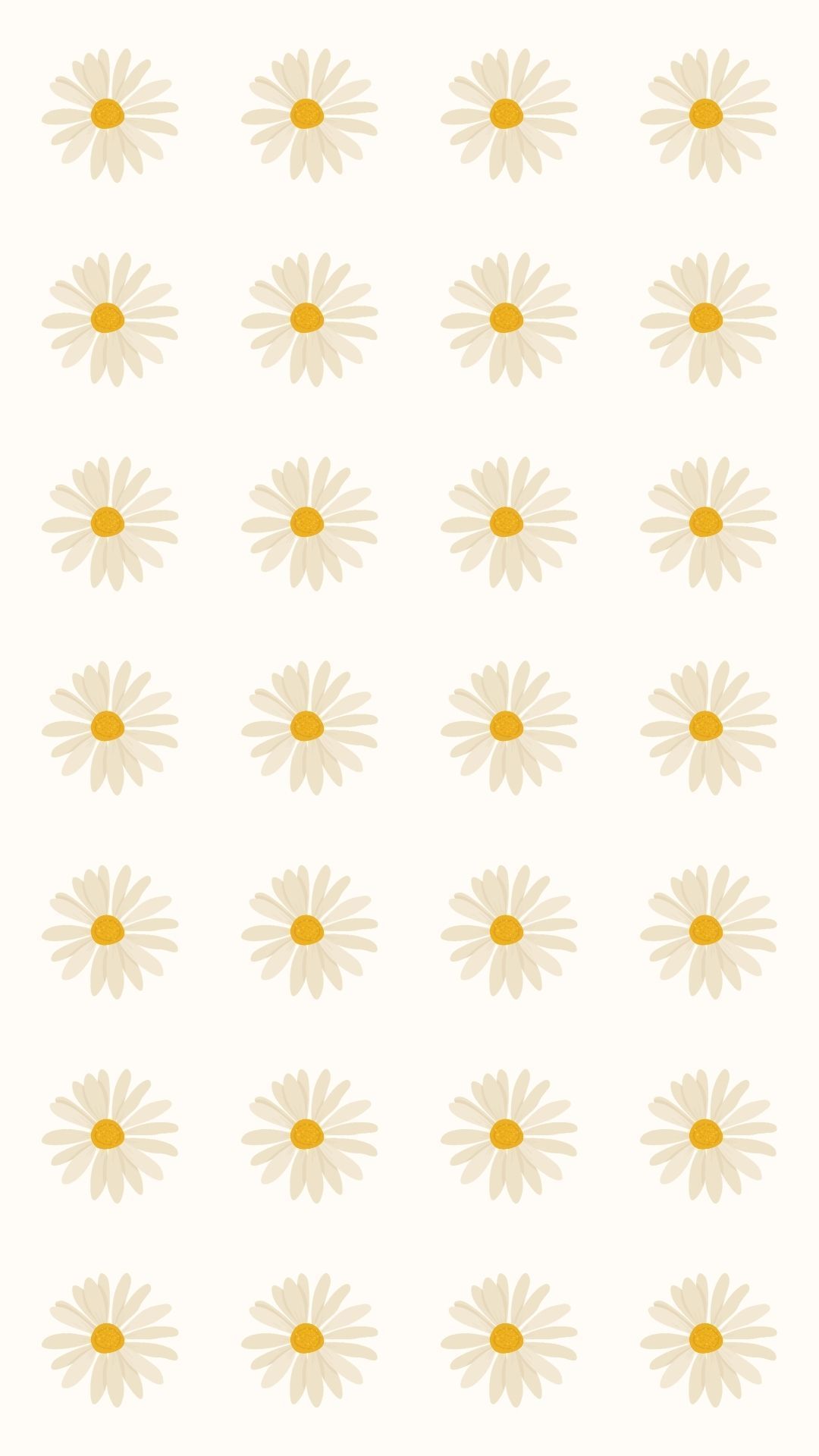 Daisies on a white background - March