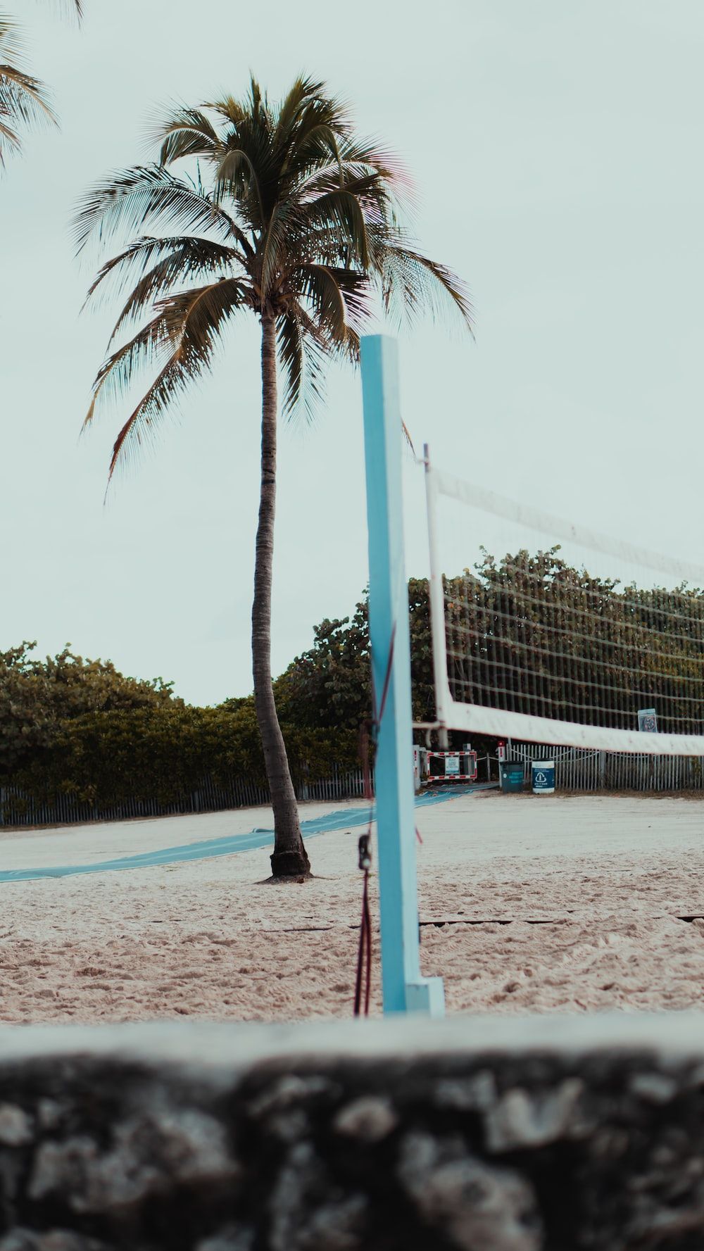 A volleyball net on a sandy beach with palm trees in the background. - Volleyball