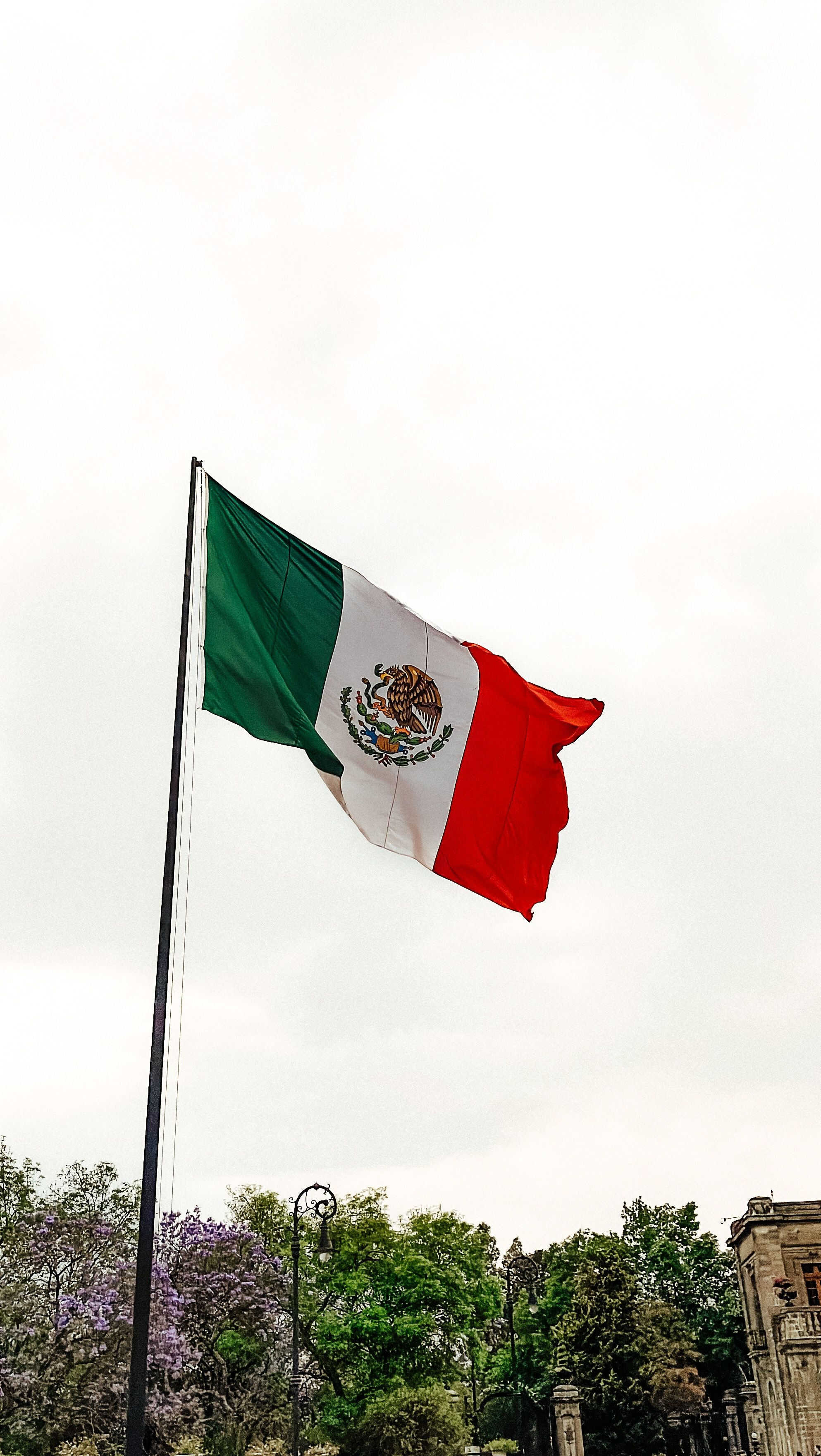 A Mexican flag waves in the wind in front of a gray sky. - Mexico