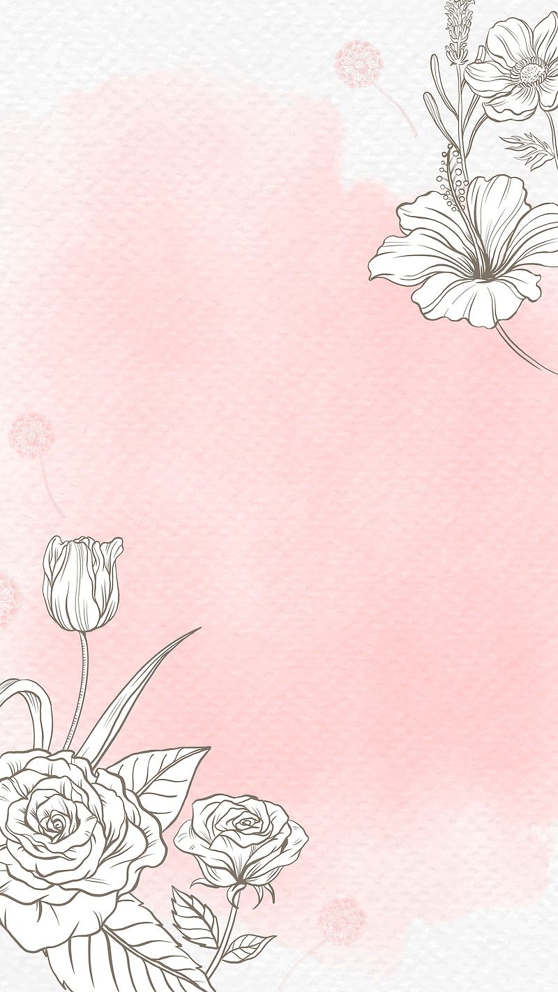 Rose Flower Line Wallpaper Image Wallpaper