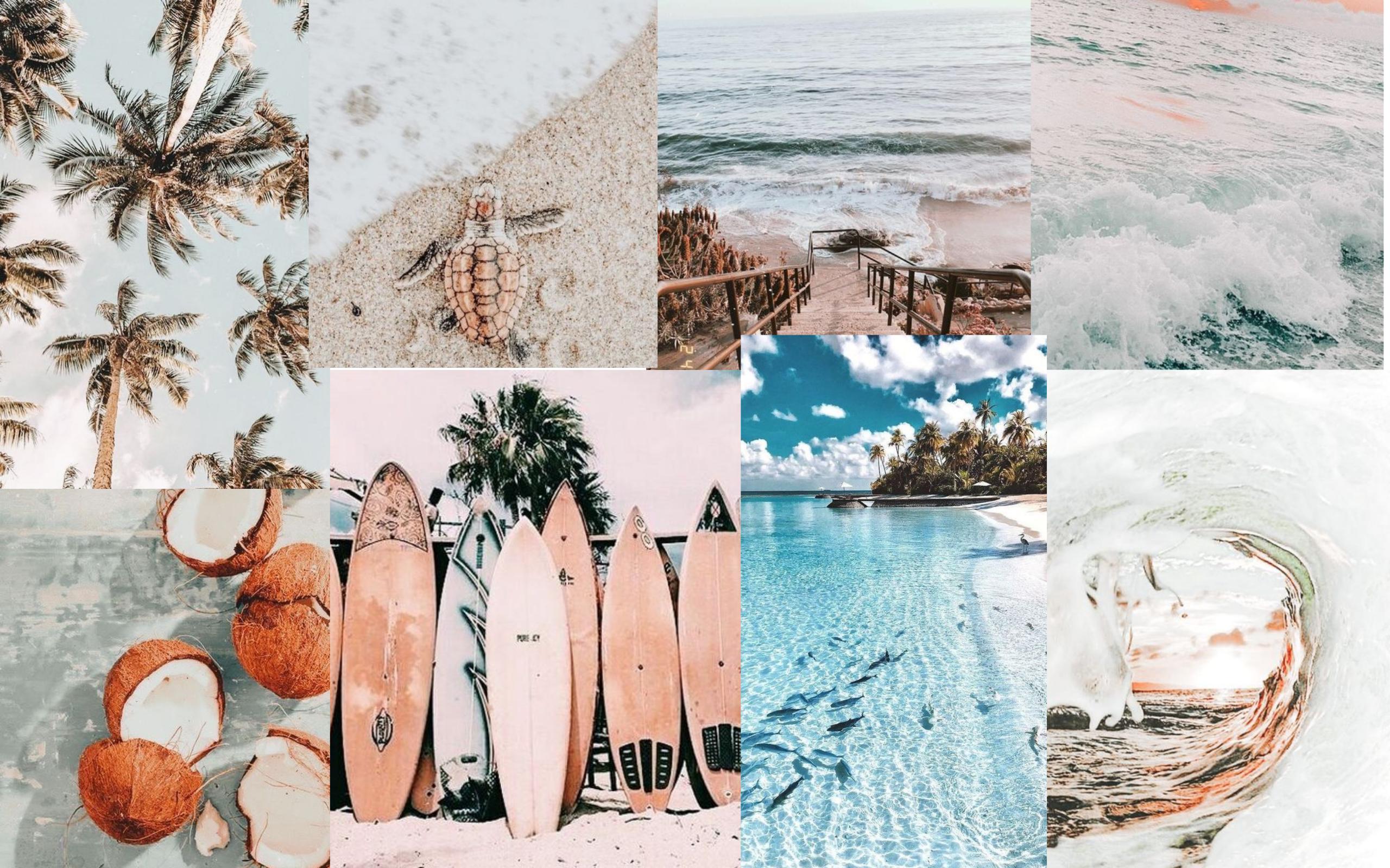 A collage of images including the beach, surfboards, and coconuts. - 2560x1600, summer