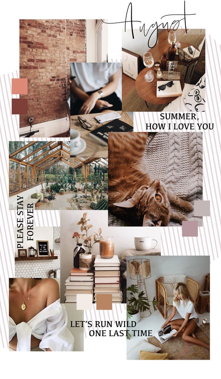 A collage of images of a cat, books, a woman and a table. - August