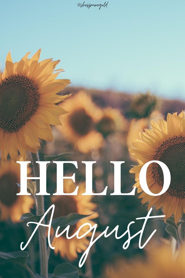 Hello August Wallpaper's Pure Gold. August wallpaper, Hello august, February wallpaper