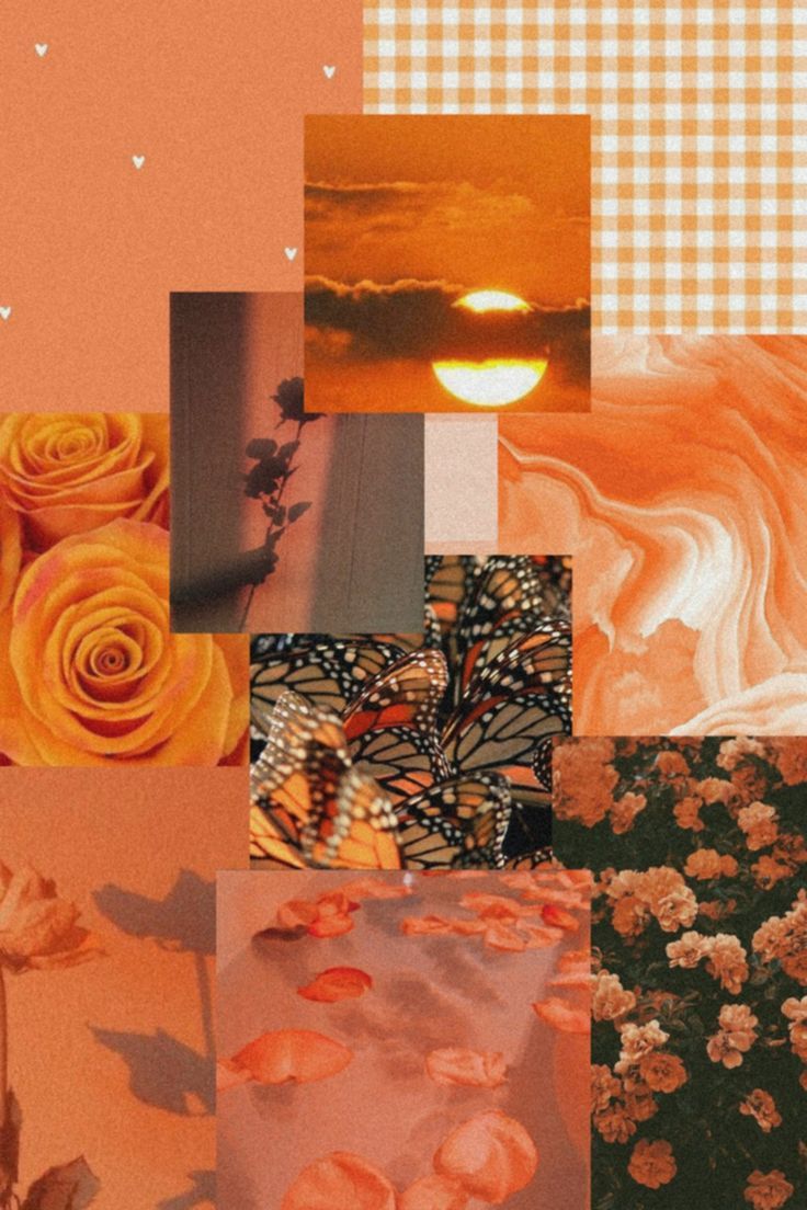Aesthetic collage background of orange, yellow, and brown images including a sunset, butterfly, and flowers. - August
