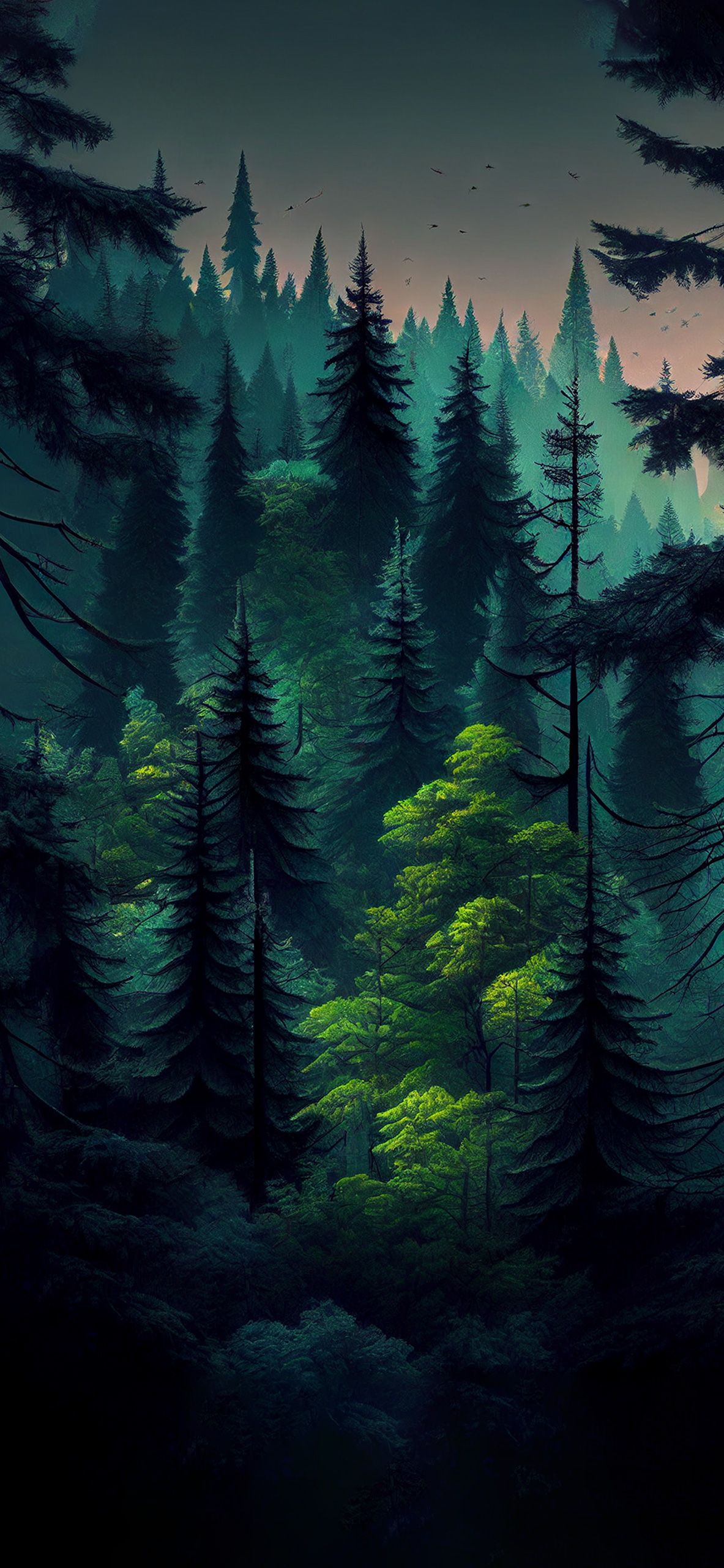 Coniferous Green Forest Wallpaper Aesthetic Wallpaper - Forest