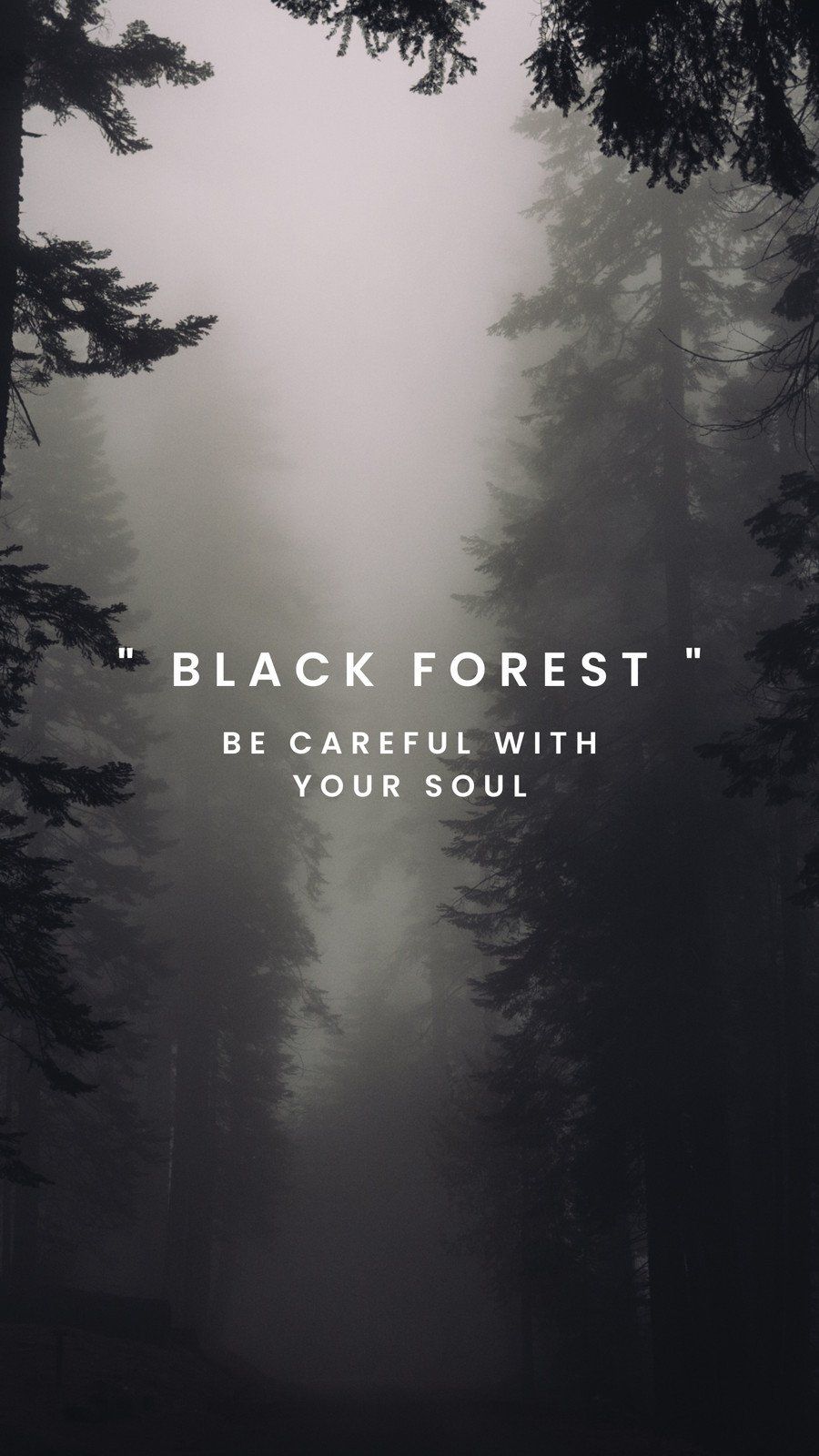 Black Forest wallpaper with a quote. - Forest, dark phone, woods, black phone, foggy forest