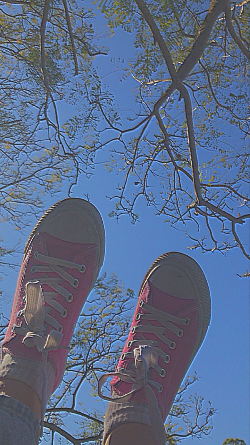 A pair of pink shoes with white shoe strings - Shoes