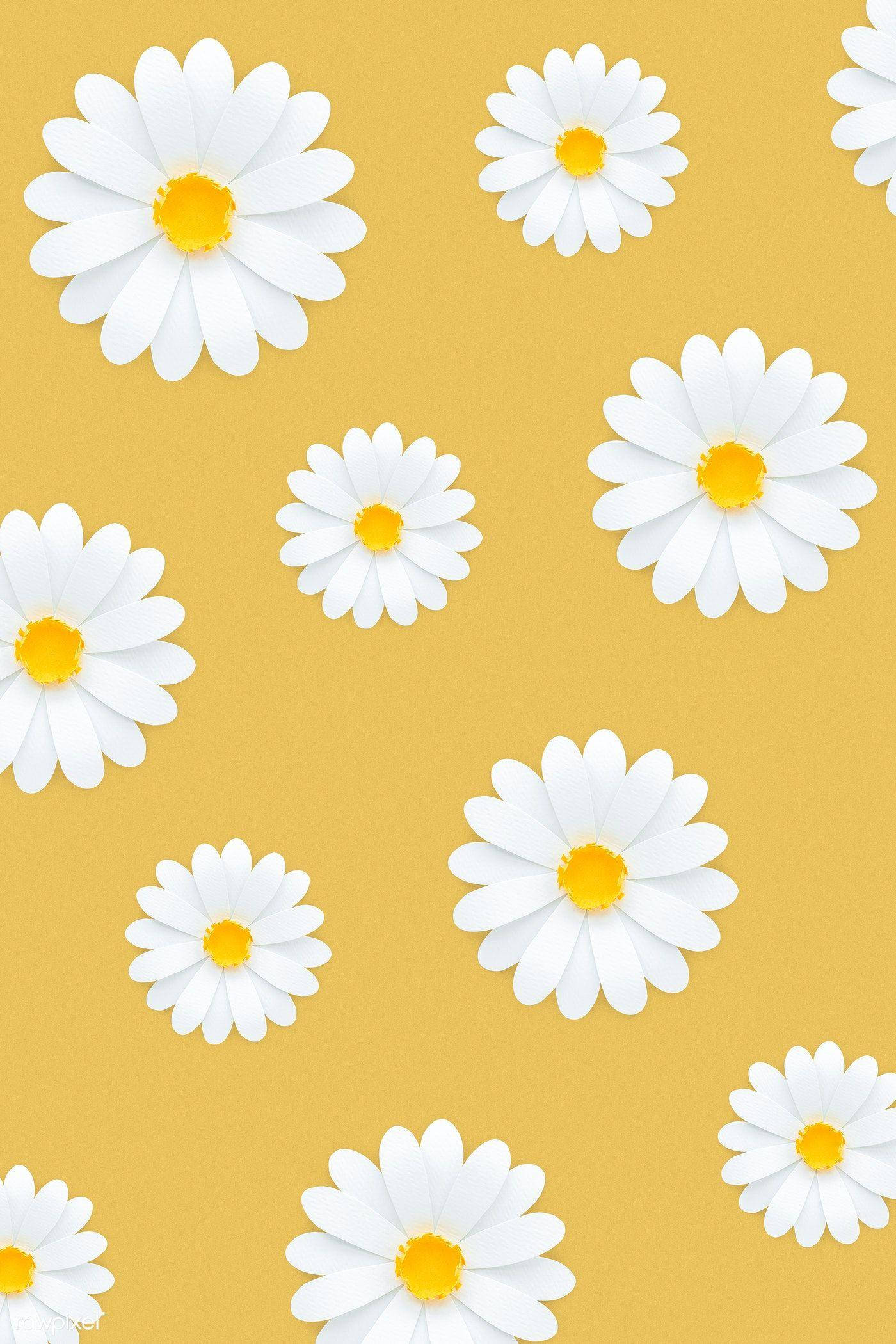 A pattern of white daisies on yellow - Light yellow, daisy