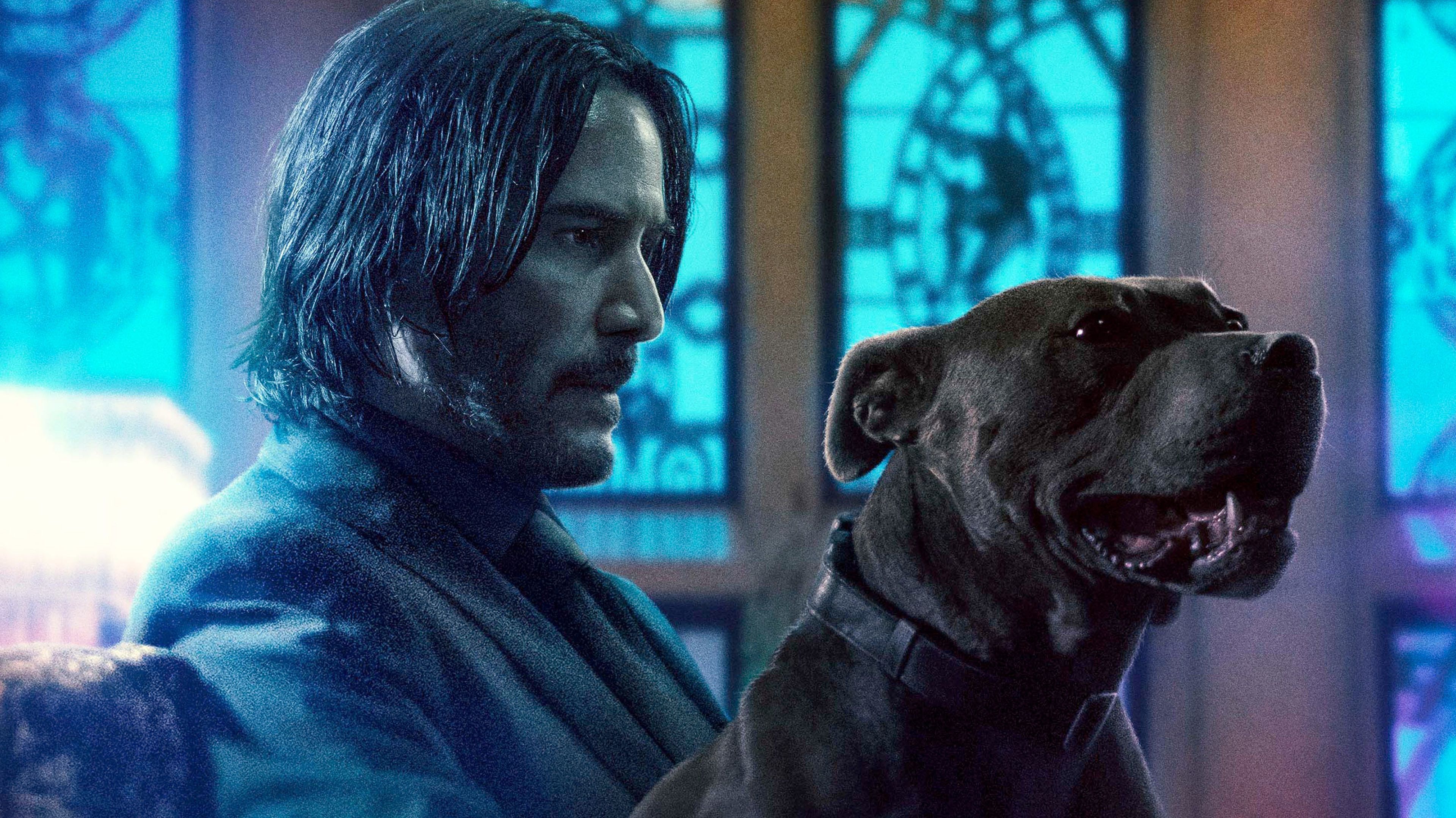 John Wick and his loyal pit bull, - John Wick