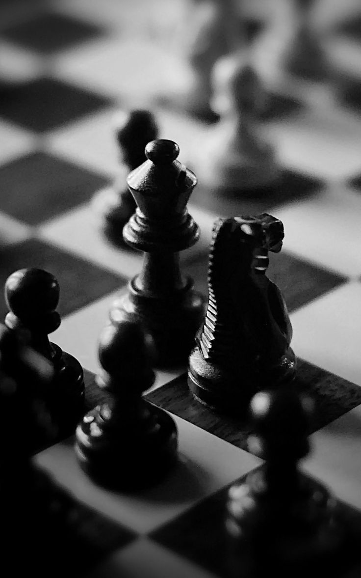 Black and white photo of a chess board with a black knight in the center. - Chess
