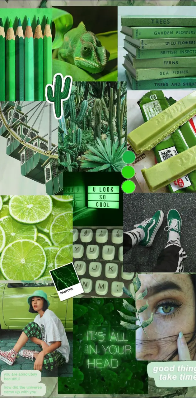 A collage of green aesthetic images including books, plants, and lime slices. - Lime green