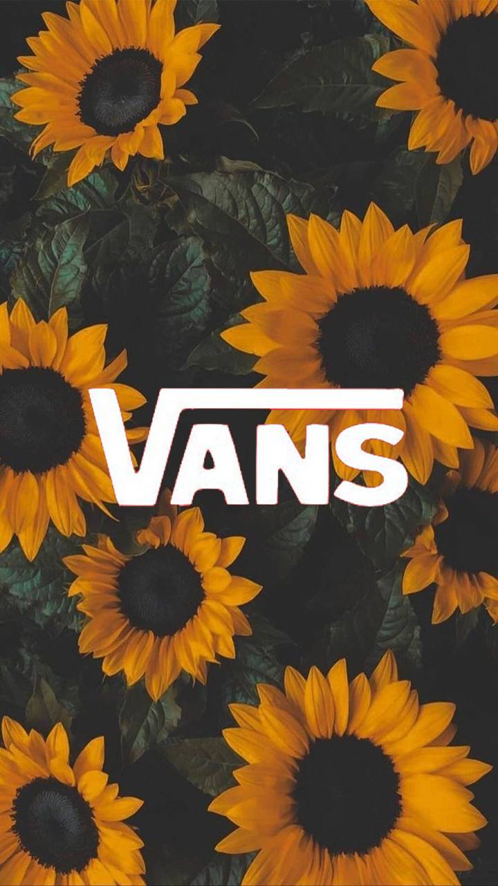 Sunflower Vans Wallpaper