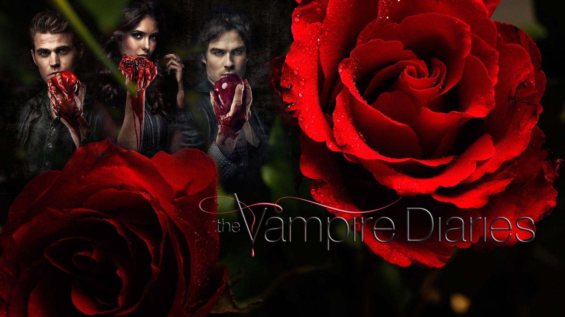 The Vampire Diaries Cast Background