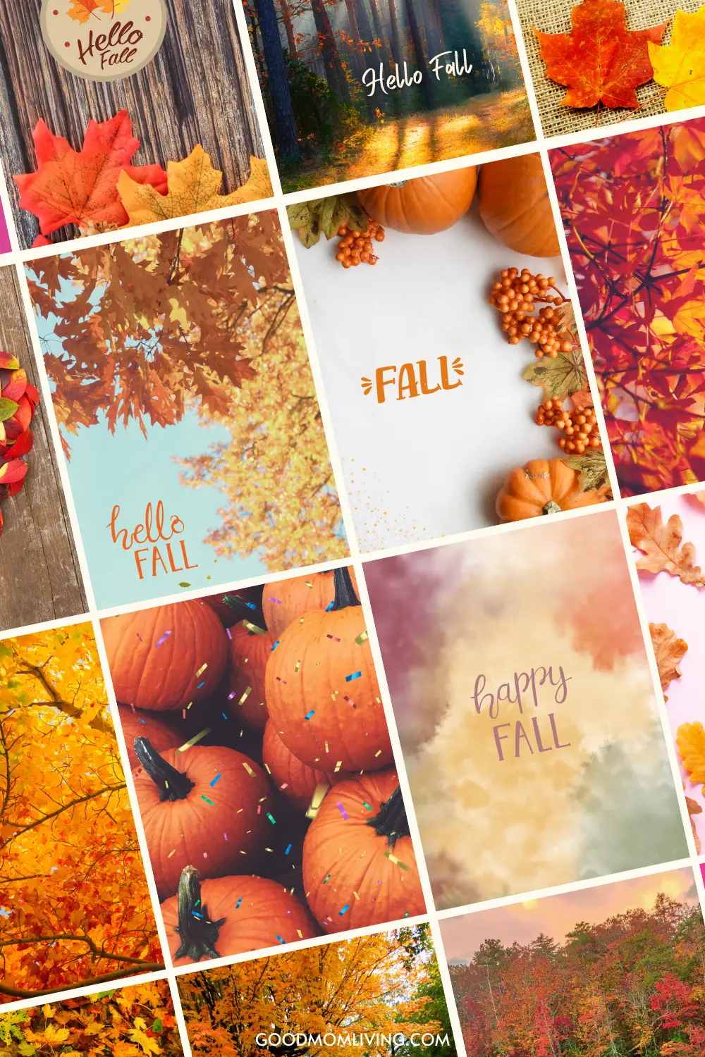 Best Fall Phone Background (FREE Autumn Wallpaper) Mom Living