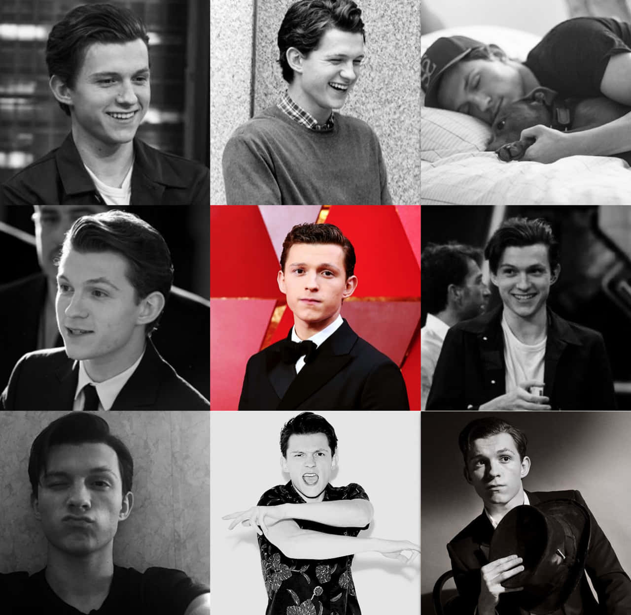 A collage of Tom Holland in different poses and outfits - Tom Holland