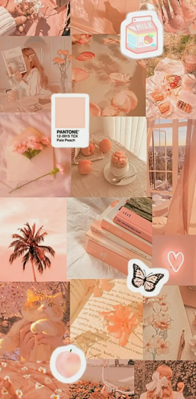 A collage of peach aesthetic images including books, a butterfly, and a girl holding a cup of tea. - Peach