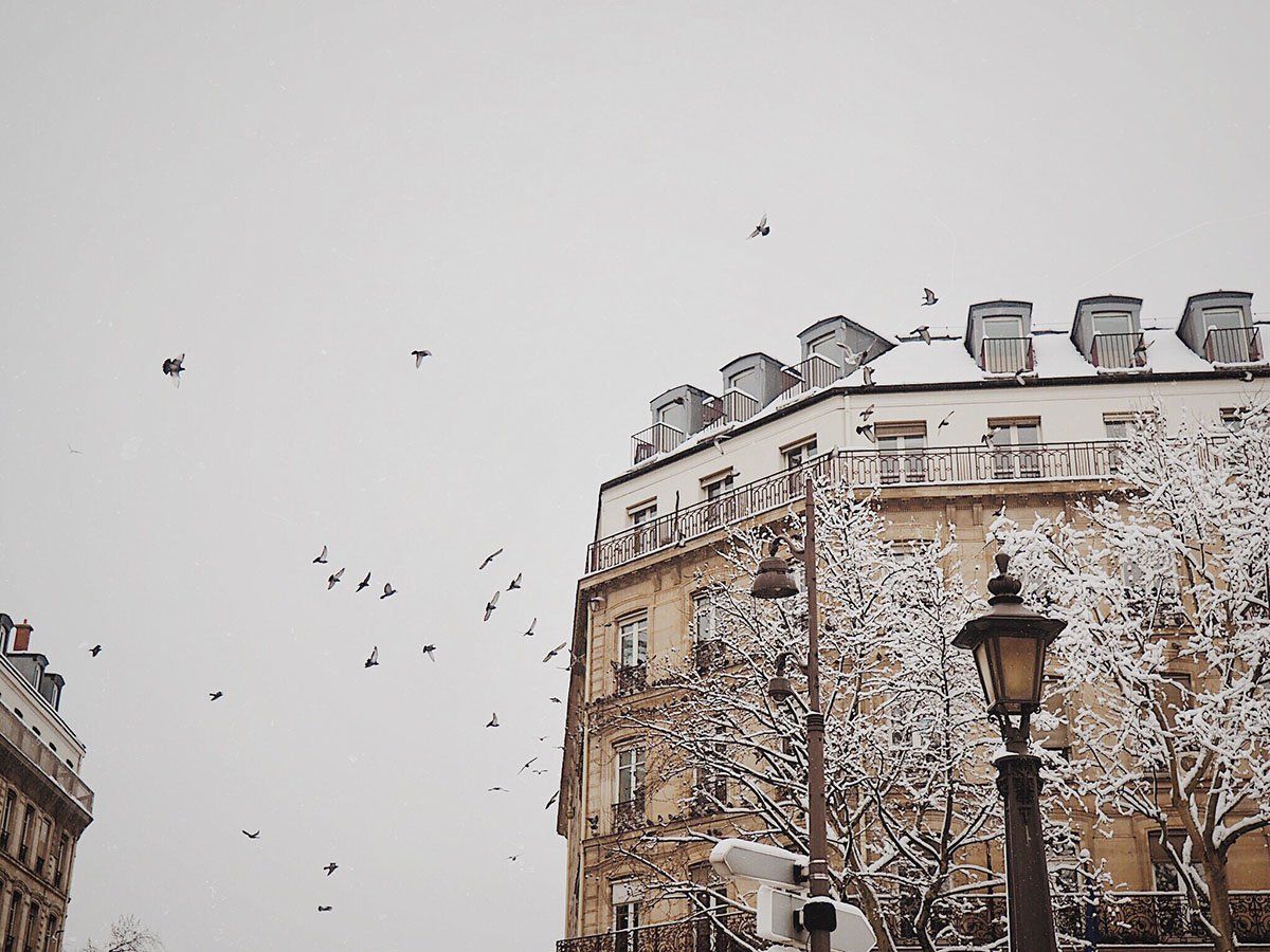 iPhone Set: It's Snowing in Paris!